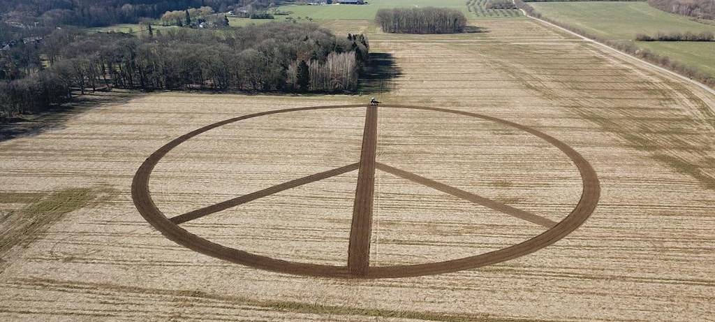 ruhrtaler-freilandschwein-frieden-kettwig-bauer-trecker-peace-ukraine-mais-feld-getreide-bauer-raido-essen