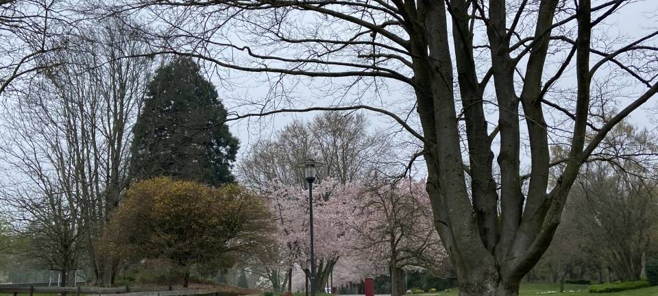 Die große Geburtstagsfeier zu 30 Jahre Radio Essen!