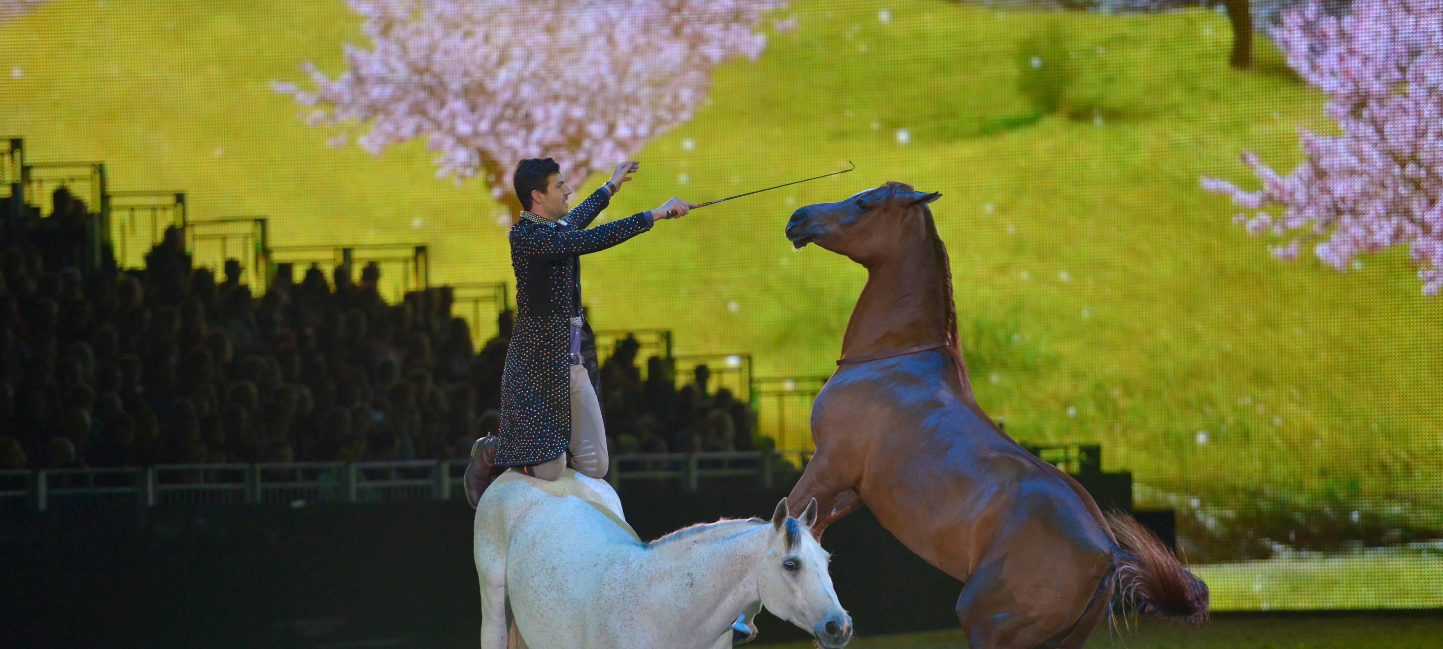 Equitana in Essen: Mehr Besucher als erwartet