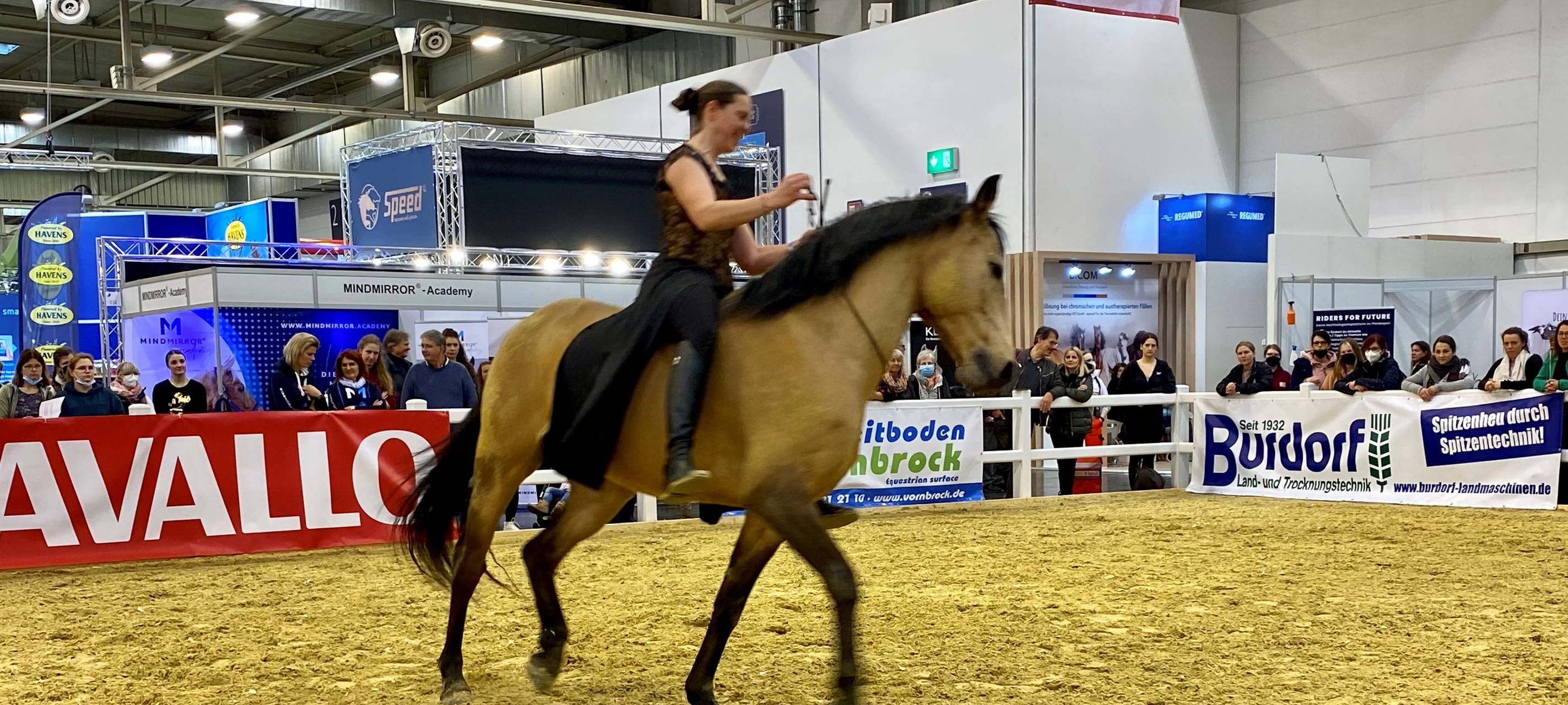 Equitana 2023 in Essen: Beliebte Pferdesport-Messe wieder da