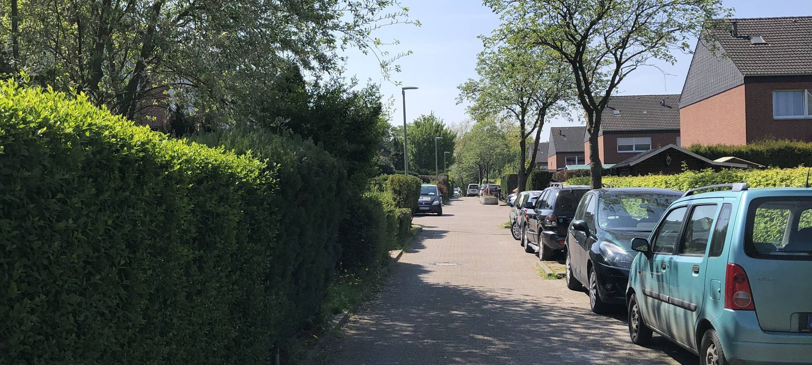 Müllproblem in Essen: Mülltonnen zugeparkt und wochenlang nicht geleert