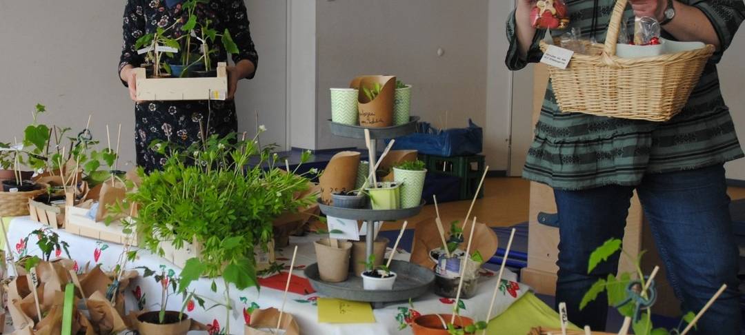 erlebnisgarten-team_pflanzenboerse-radio-essen-blumen
