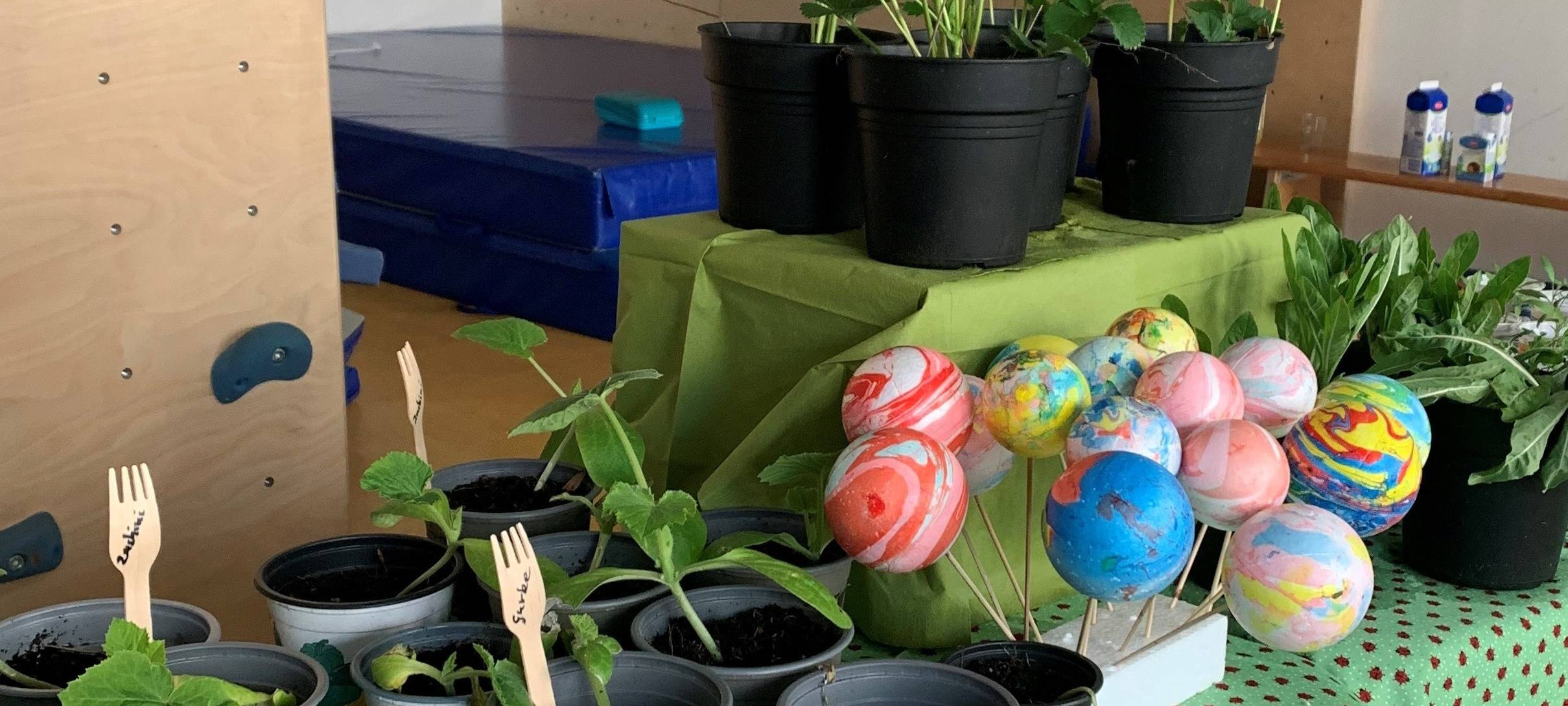 Kitas aus Essen verkaufen auf Blumen- und Pflanzenbörse