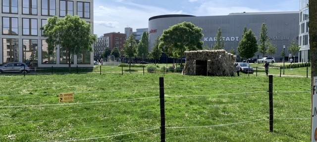 Kunstprojekte mitten in Essen: Ausstellung "Folkwang und die Stadt" startet