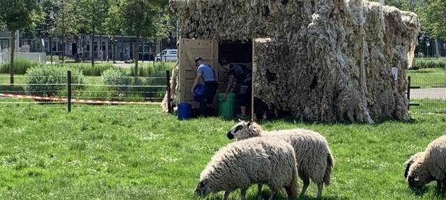 Kunstprojekte mitten in Essen: Ausstellung "Folkwang und die Stadt" startet