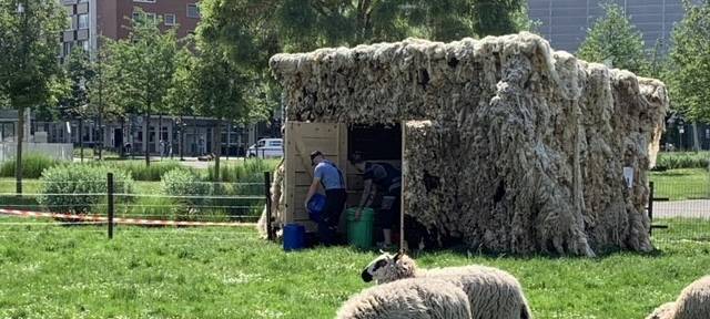 Kunstprojekte mitten in Essen: Ausstellung "Folkwang und die Stadt" startet