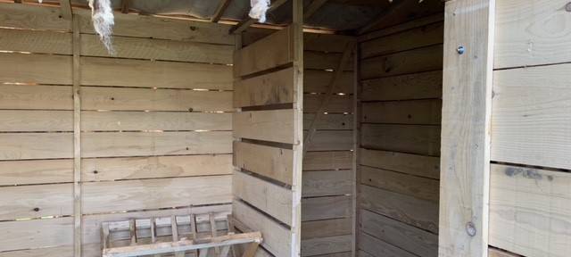 Kunstprojekte mitten in Essen: Ausstellung "Folkwang und die Stadt" startet