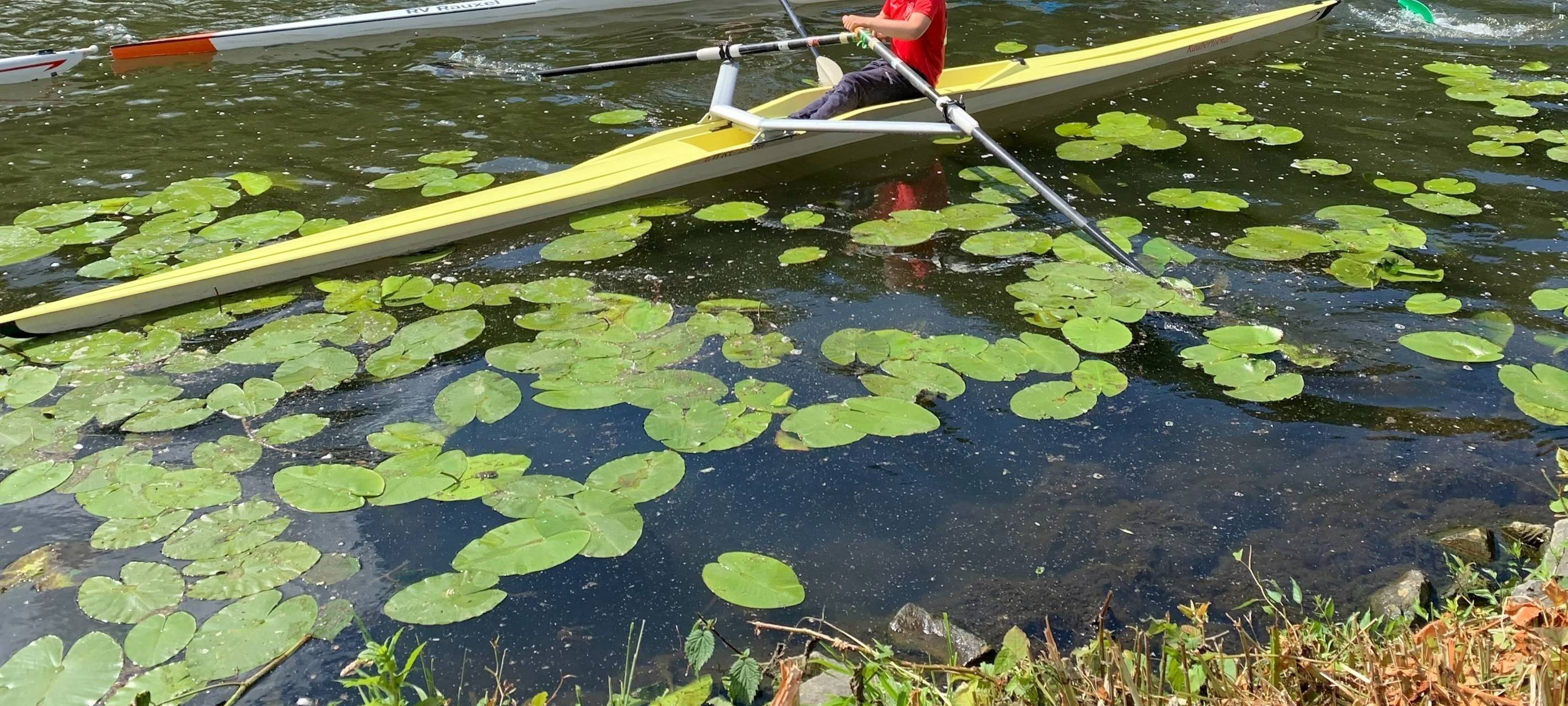 Essen: Kinderregatta auf der Ruhr