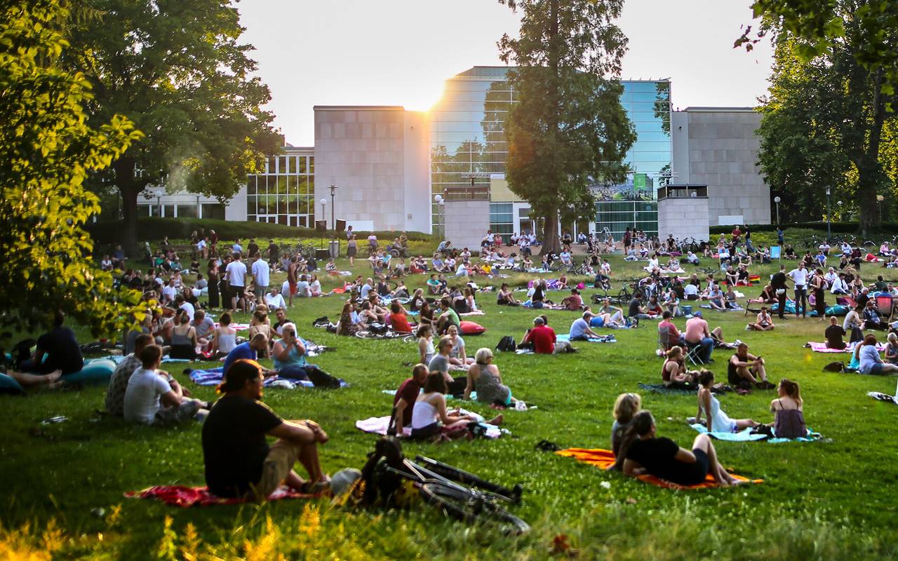 Die Park Sounds 2022 starten in Essen - mitten im Stadtgarten im Südviertel. 