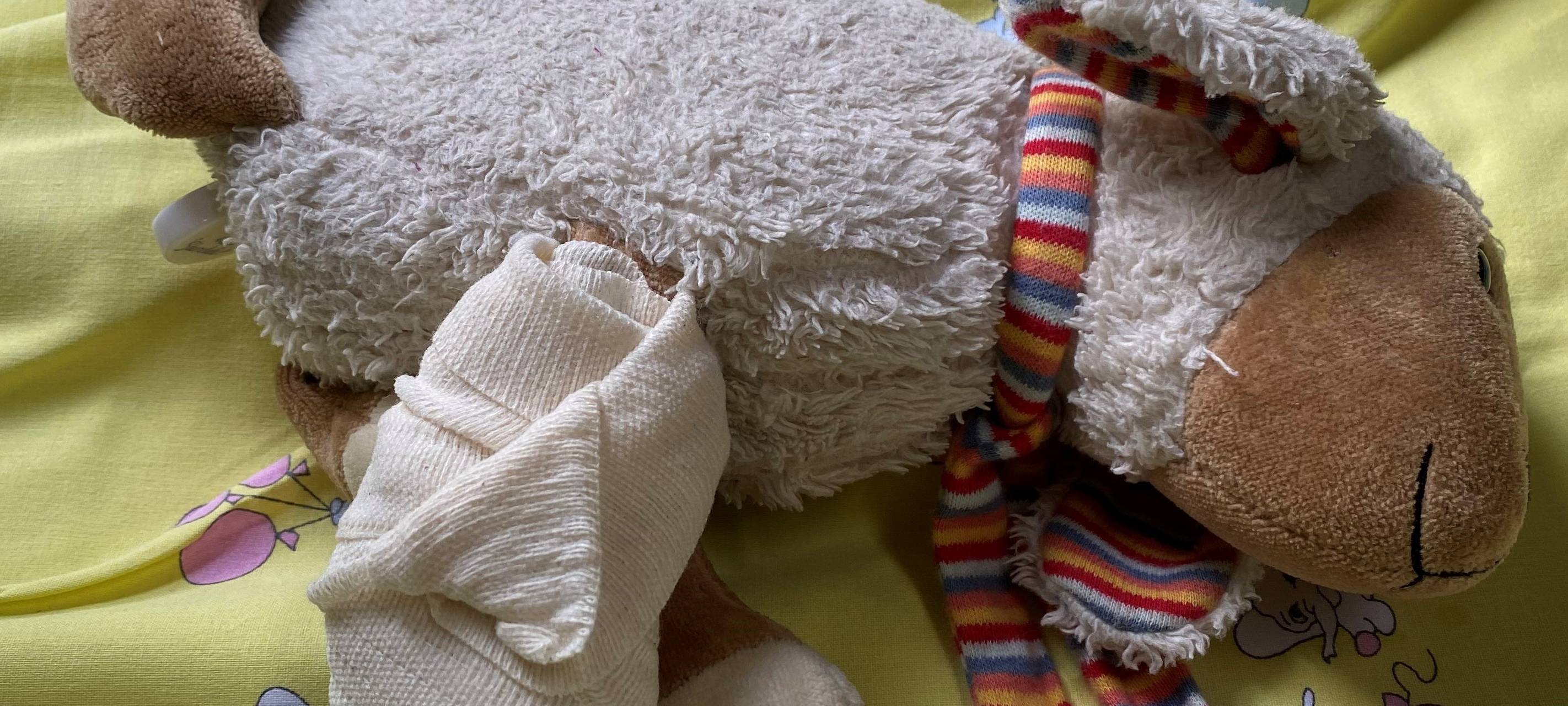 Aktion für Kinder in Essen: Teddy-Krankenhaus behandelt Kuscheltiere