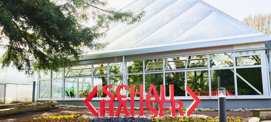 Essen: Sanierungen im Grugapark geplant