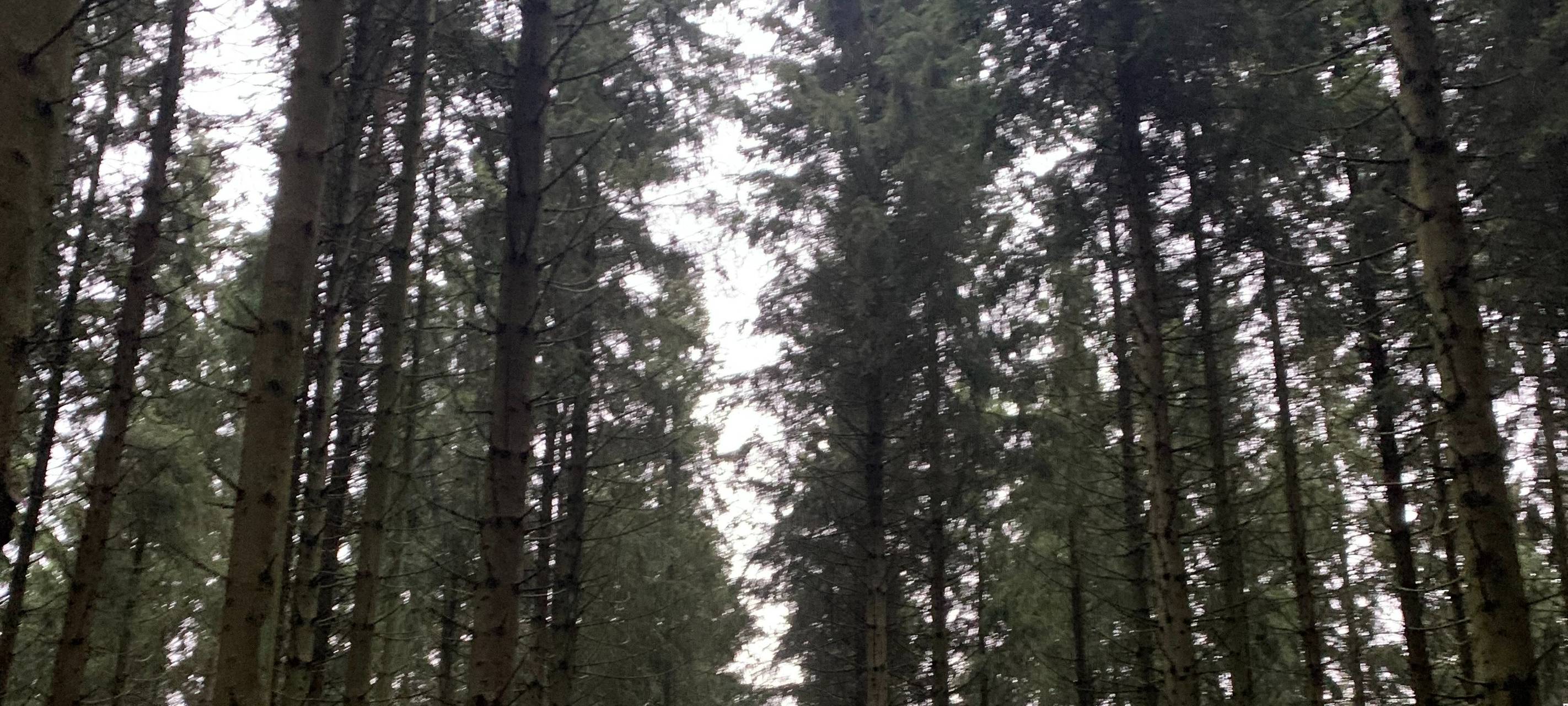 Umweltbewusst reisen: So klappt's