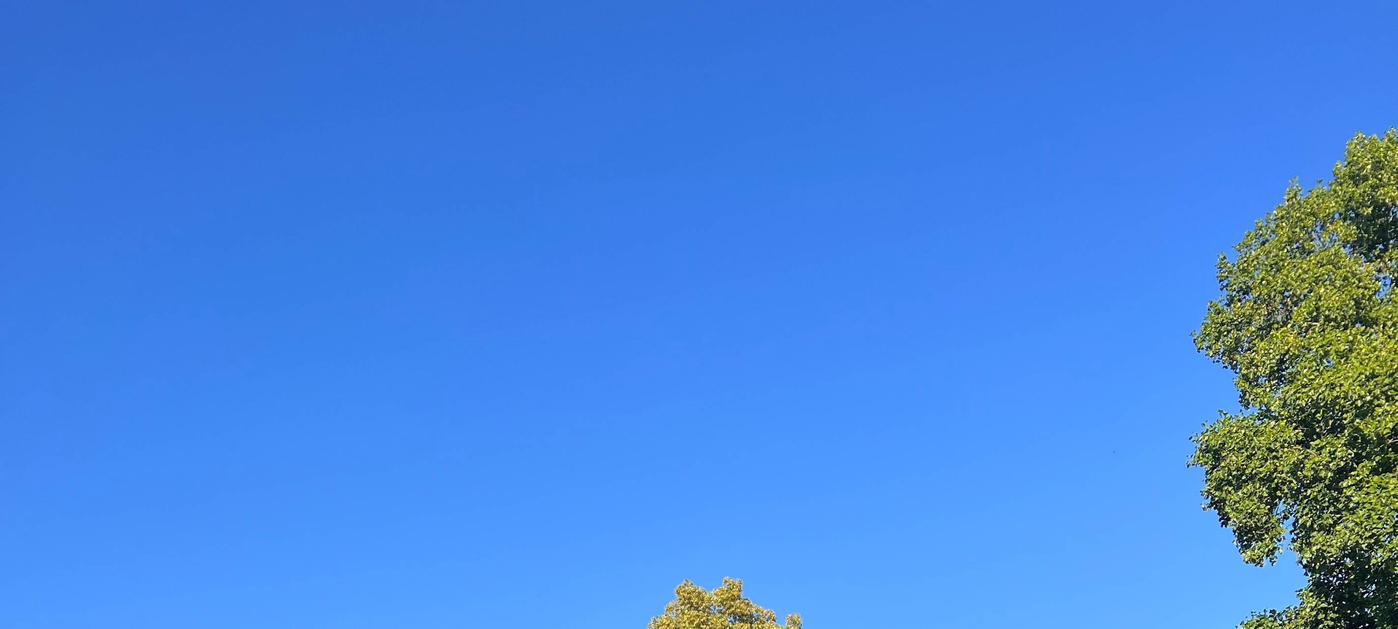 Essen: Gute Stimmung beim Firmenlauf 2022