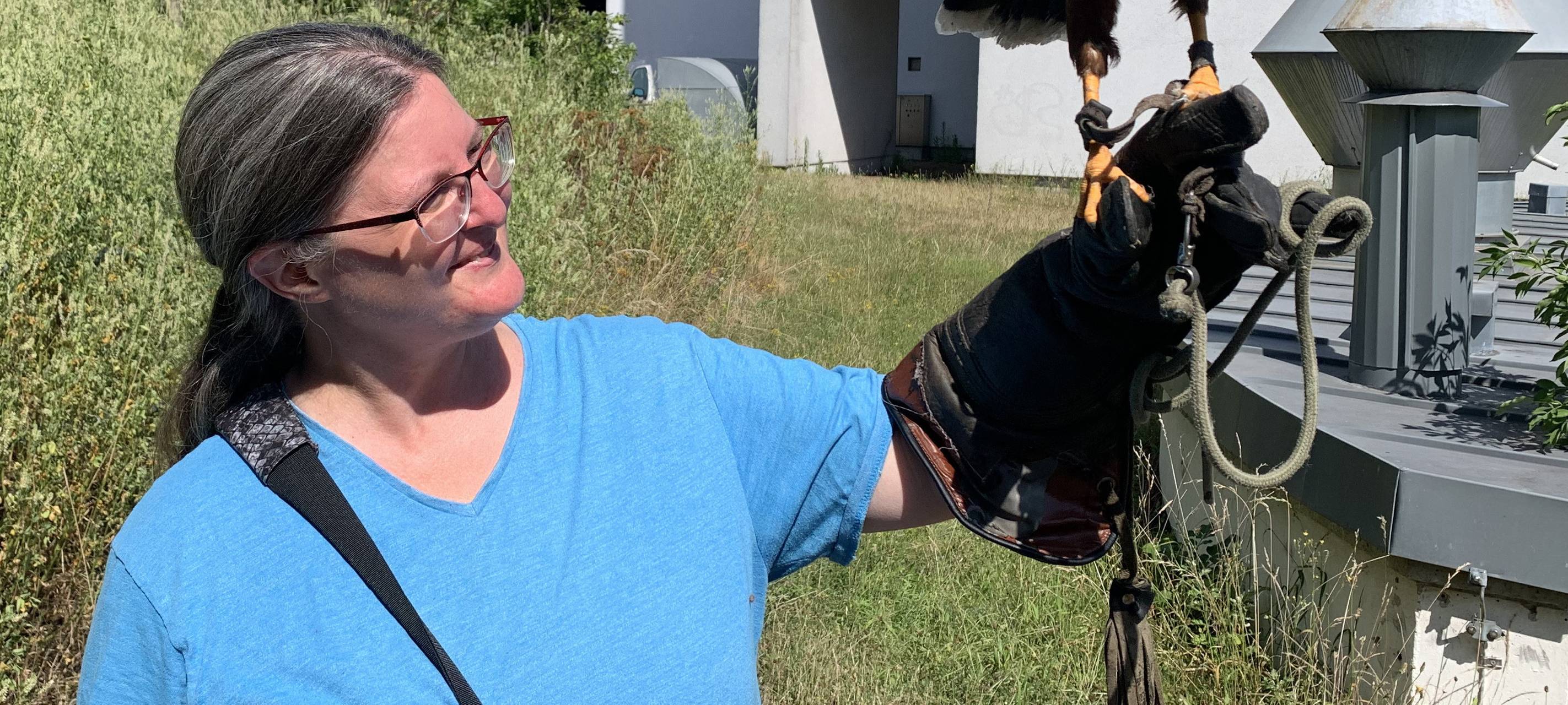 Bussard, Uniklinikum Essen, Tauben, Falknerin