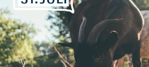 Der Grugapark Essen lädt zum ersten Tieraktionstag ein.