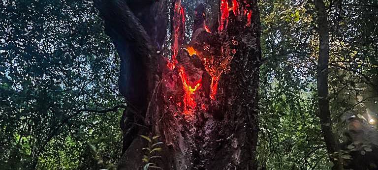 Feuerwehr Essen: Großbrand gerade so verhindert
