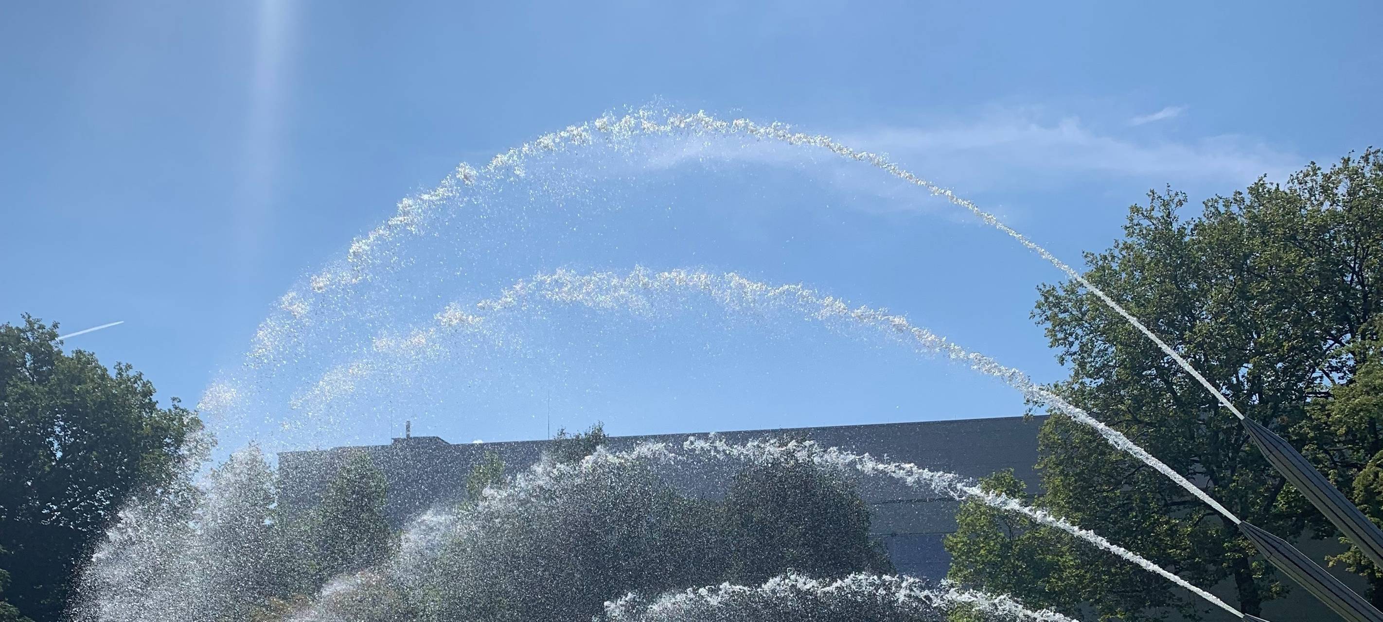 Buntes Fest im Grugapark in Essen