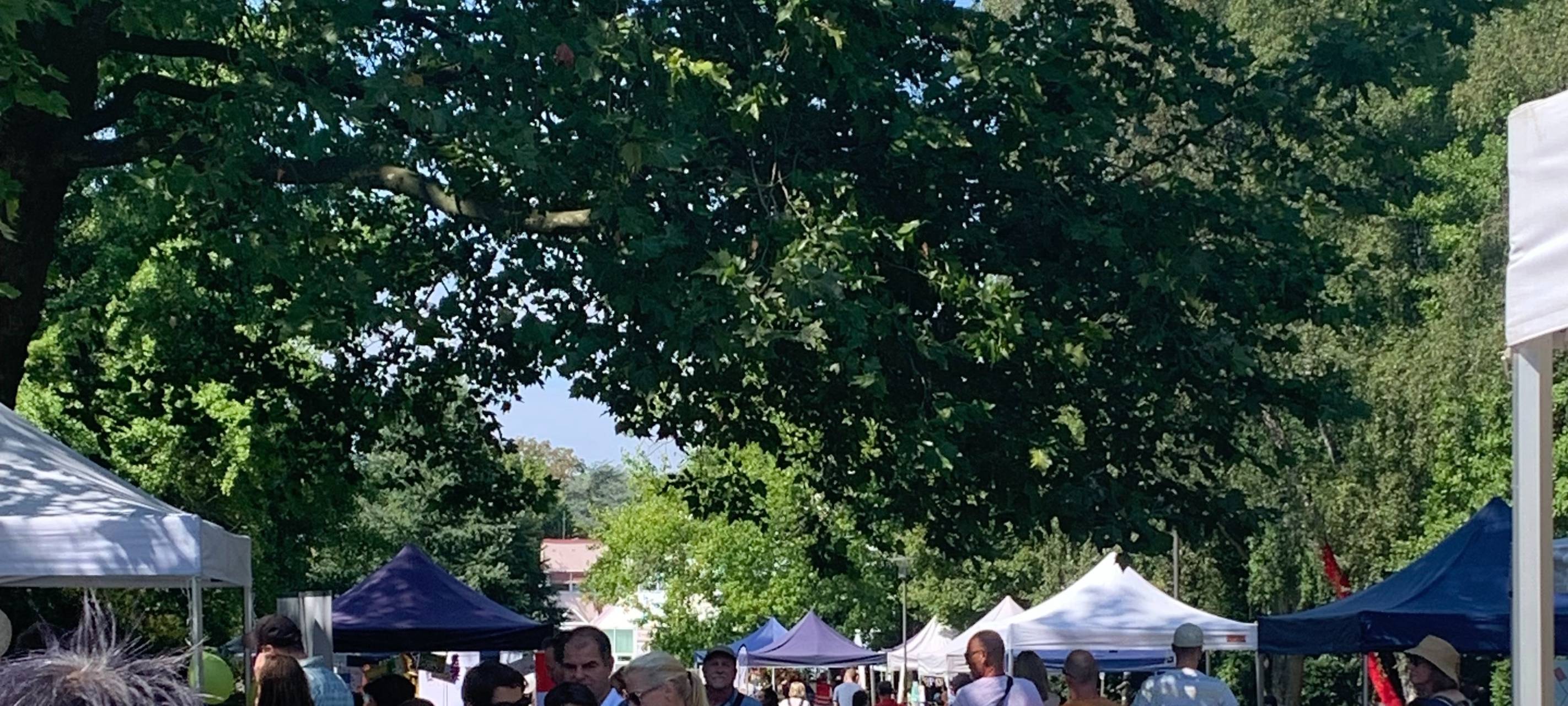 Buntes Fest im Grugapark in Essen