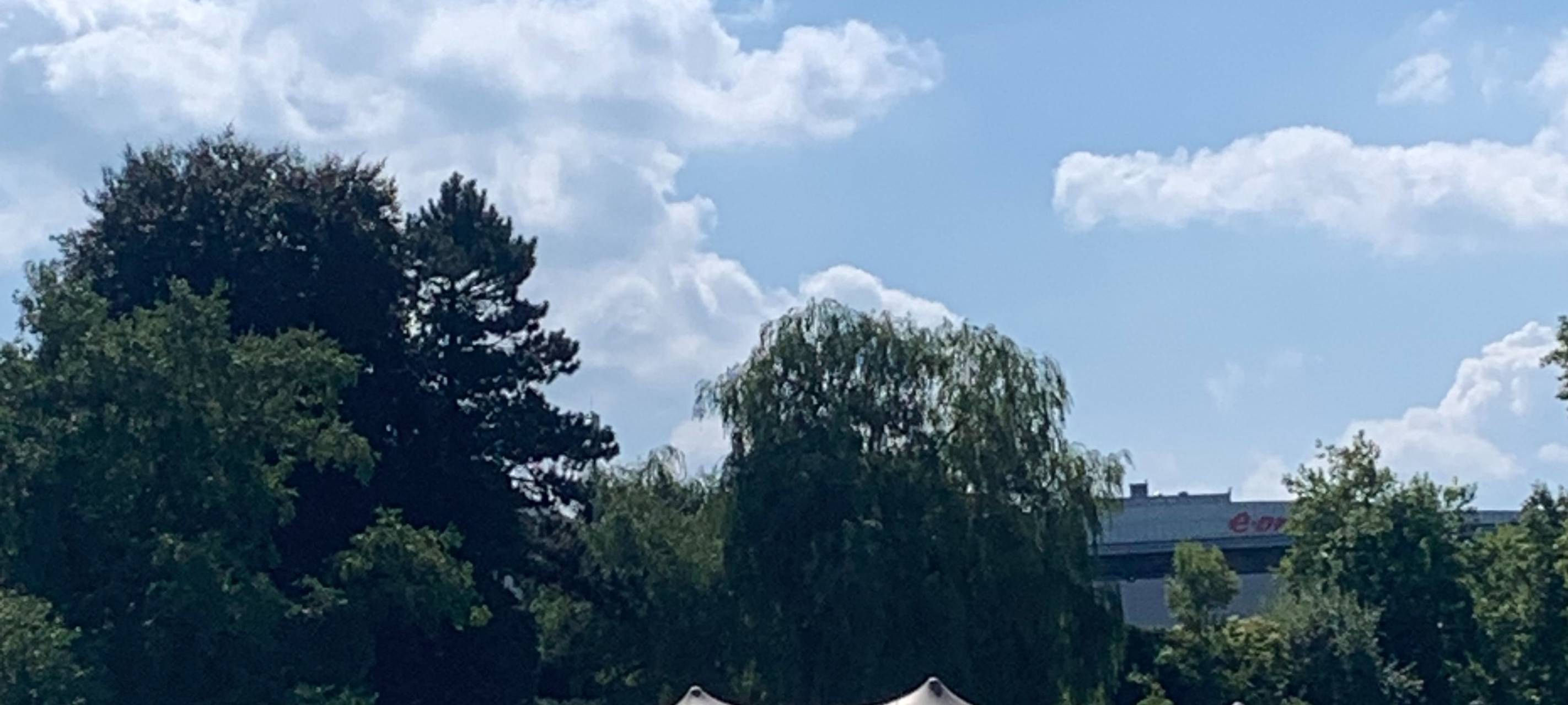 Buntes Fest im Grugapark in Essen