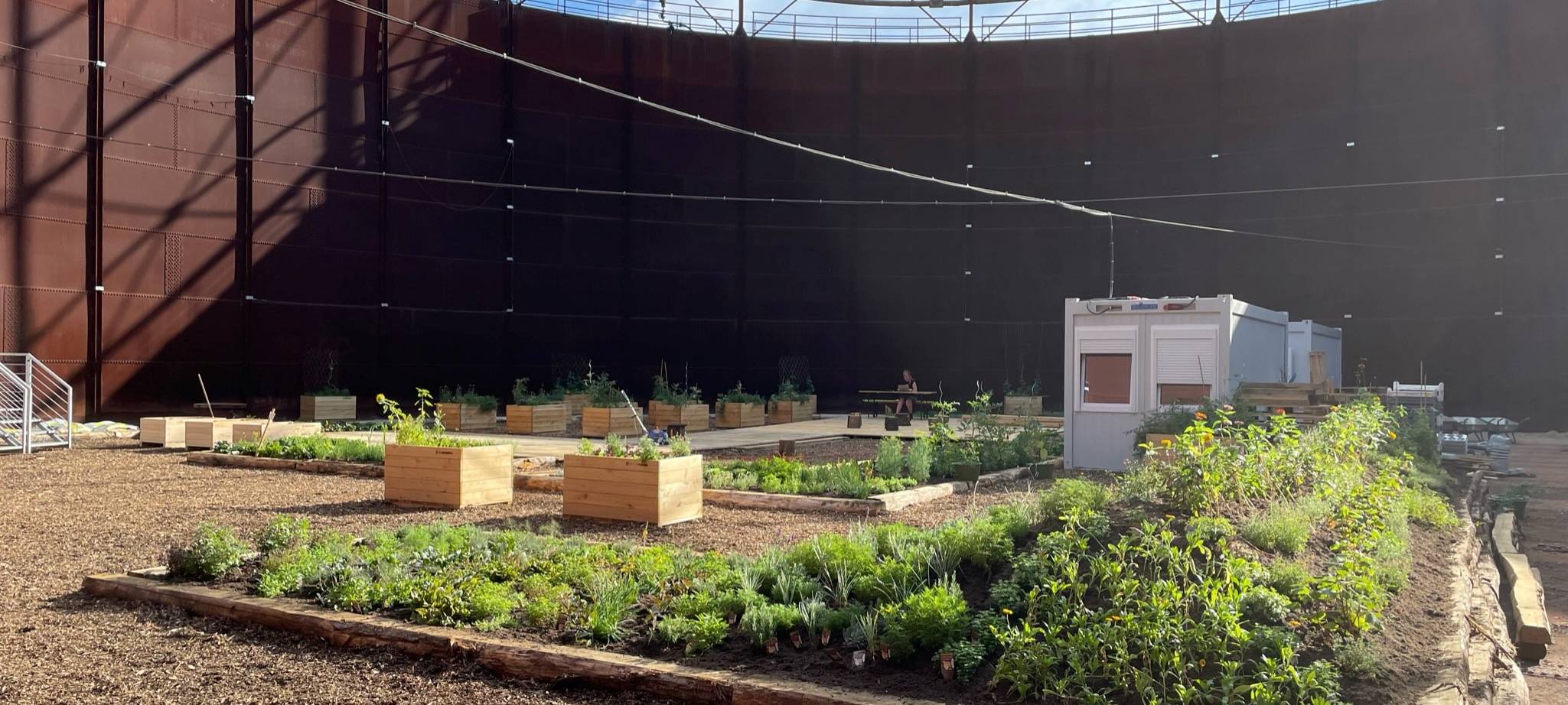 Zollverein in Essen: Ackerbau auf Industriegelände der Zeche - Altes Gasometer neu gestaltet
