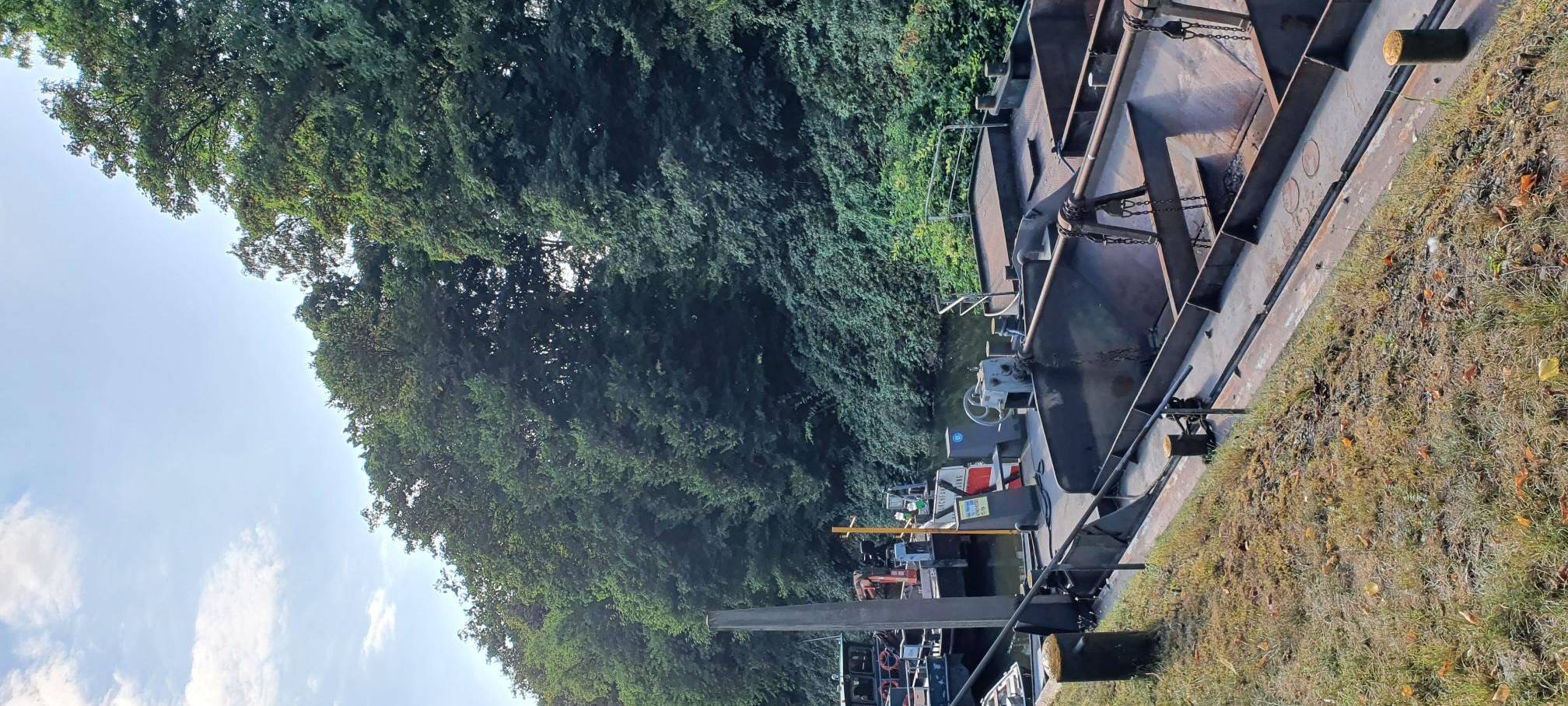 Neue Radio Essen-App und mehr: Mit Apps die Stadt entdecken