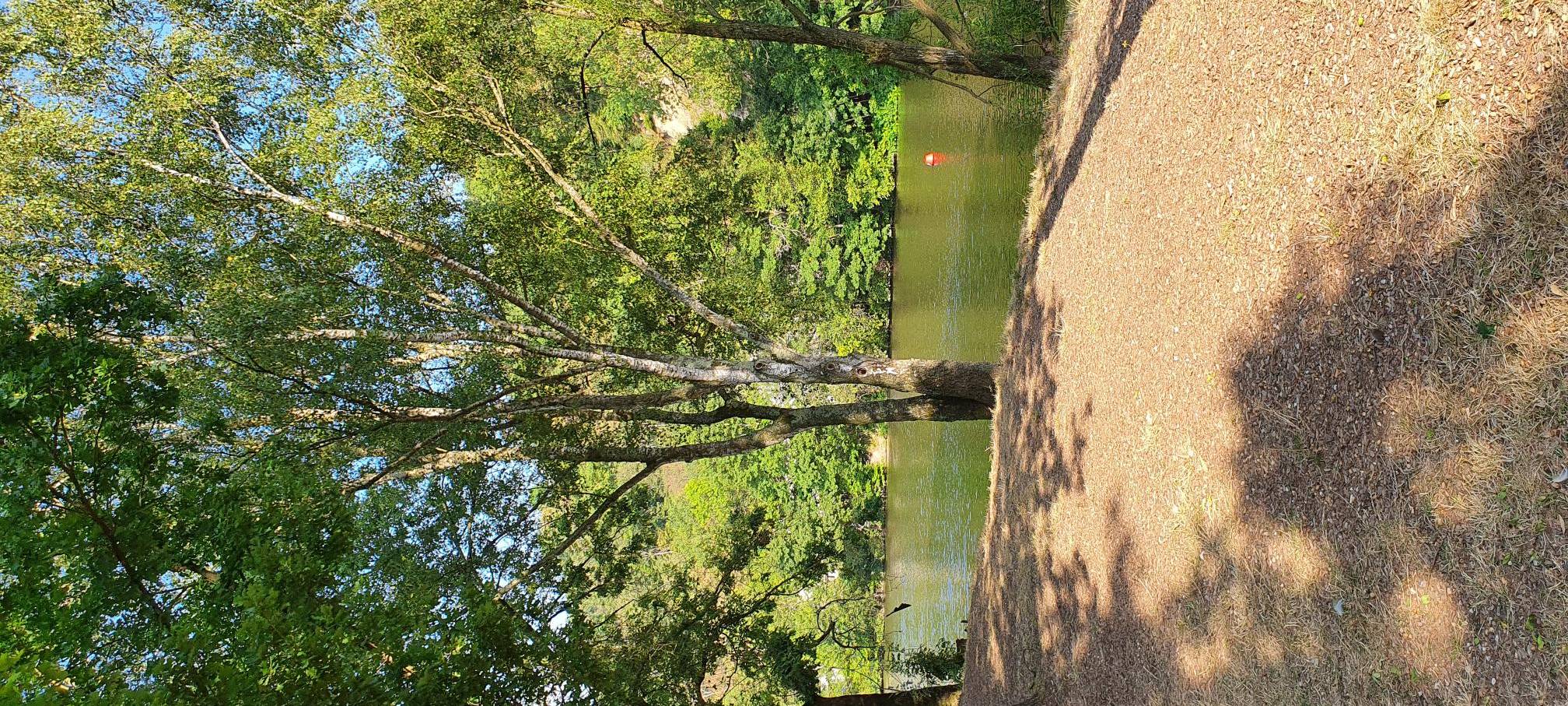 Neue Radio Essen-App und mehr: Mit Apps die Stadt entdecken