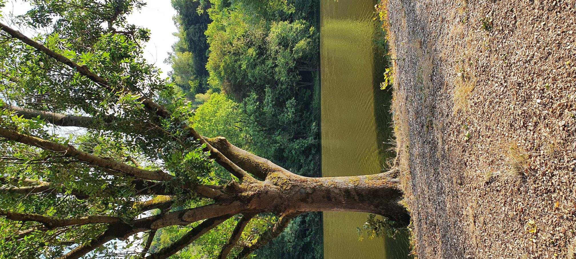 Neue Radio Essen-App und mehr: Mit Apps die Stadt entdecken