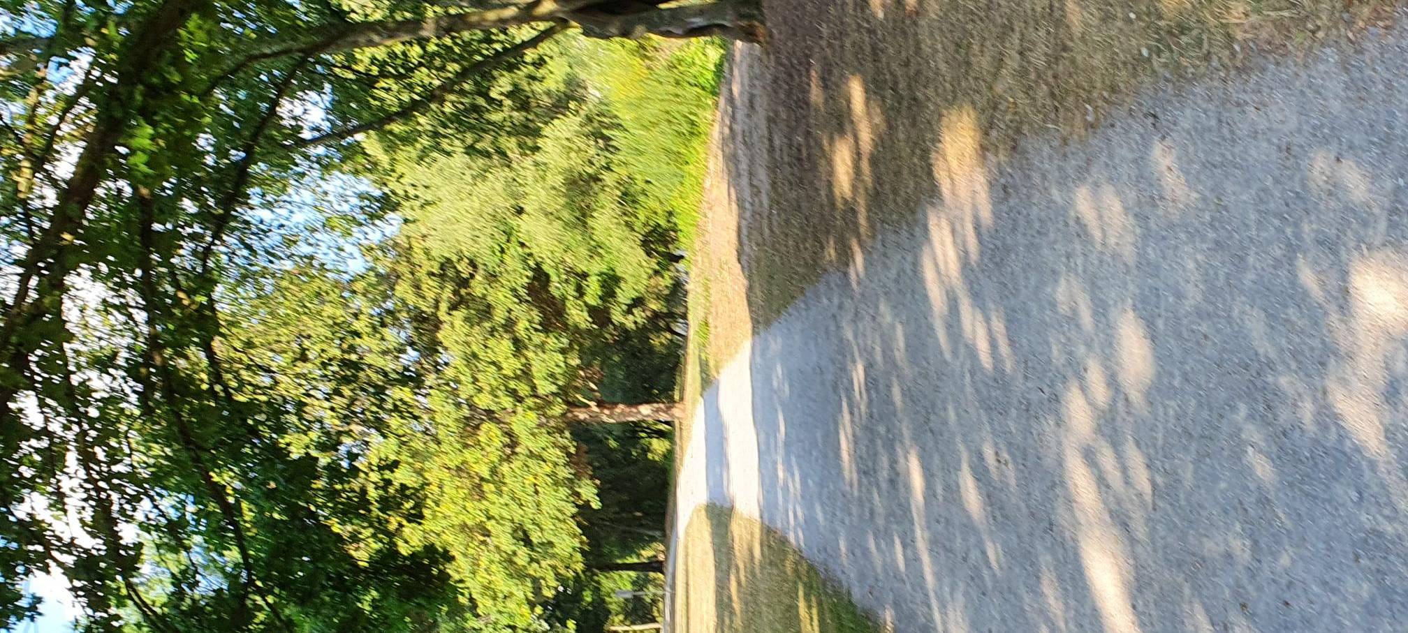 Neue Radio Essen-App und mehr: Mit Apps die Stadt entdecken