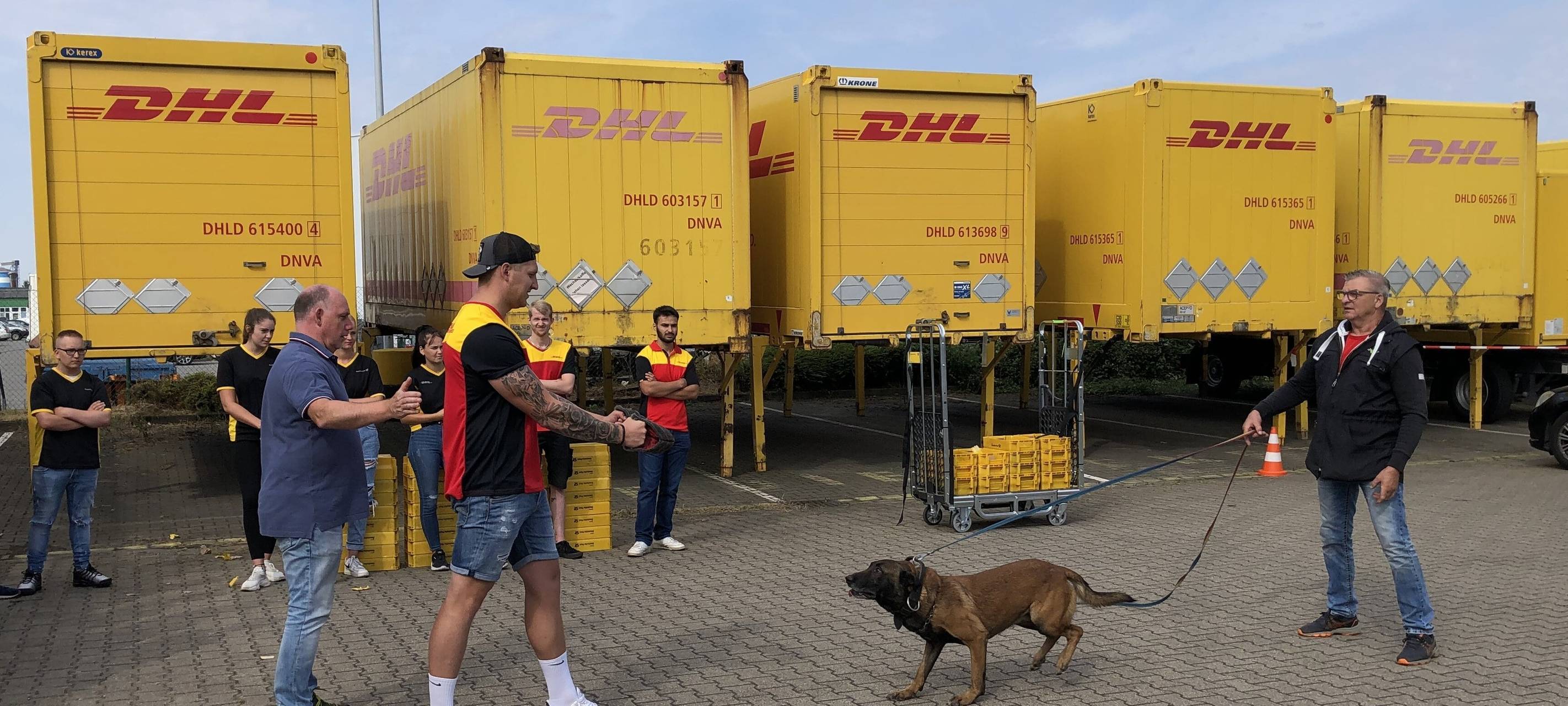 Hundeangriffe in Essen: Postboten lernen sich zu schützen
