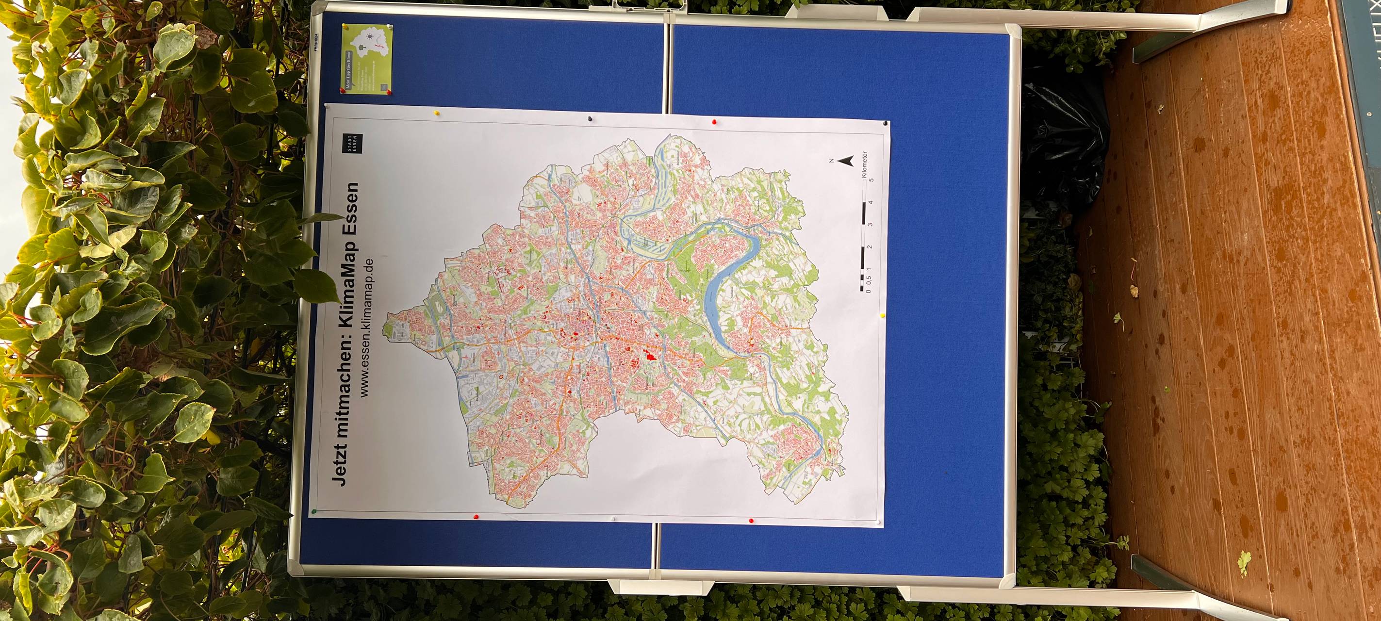 Essen in der Zukunft: So grün kann es noch werden