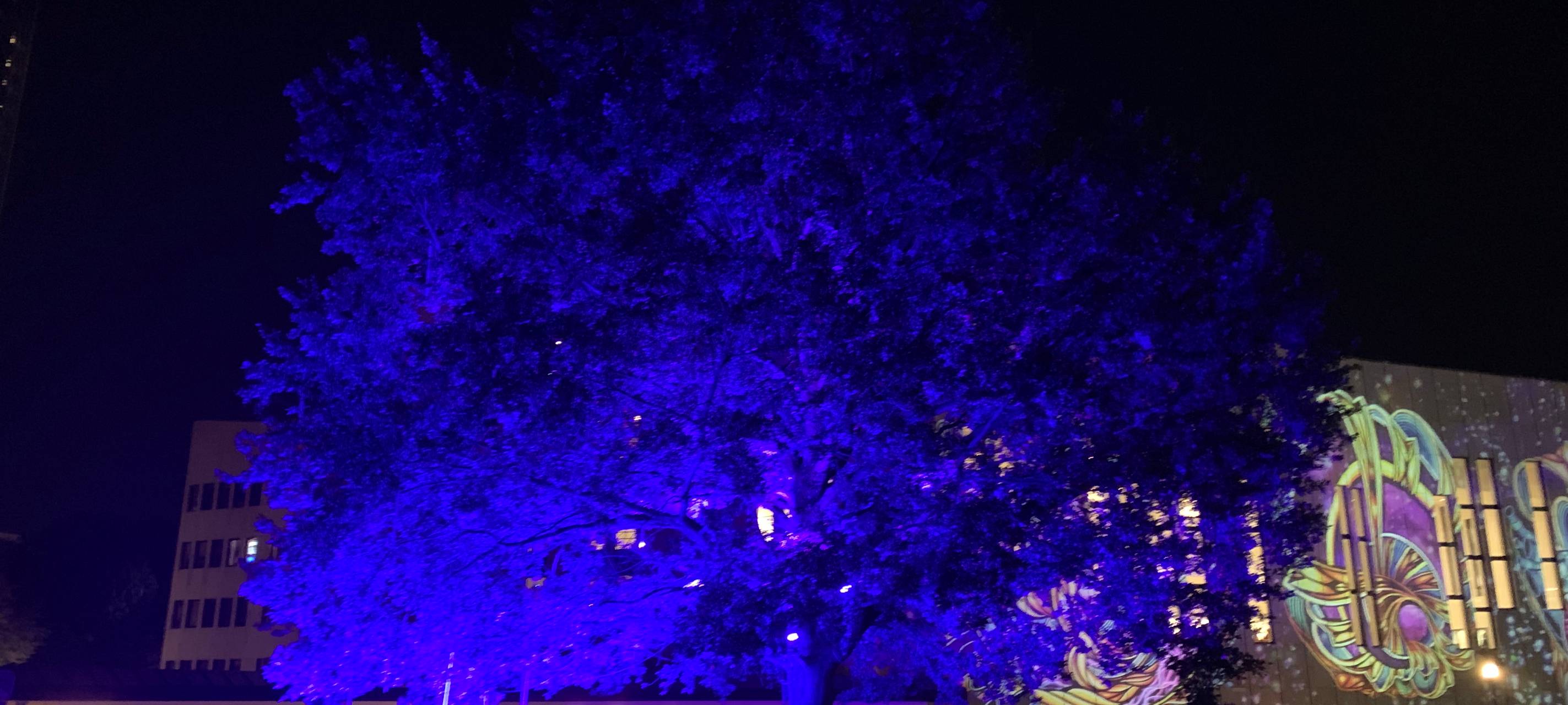 Essen Light Festival 2022: Das sind die Stationen und Bilder