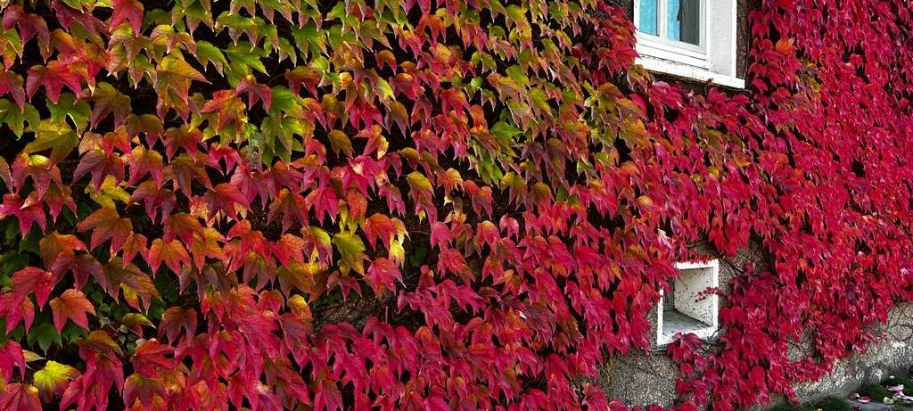 radio-essen-2-margarethenhoehe