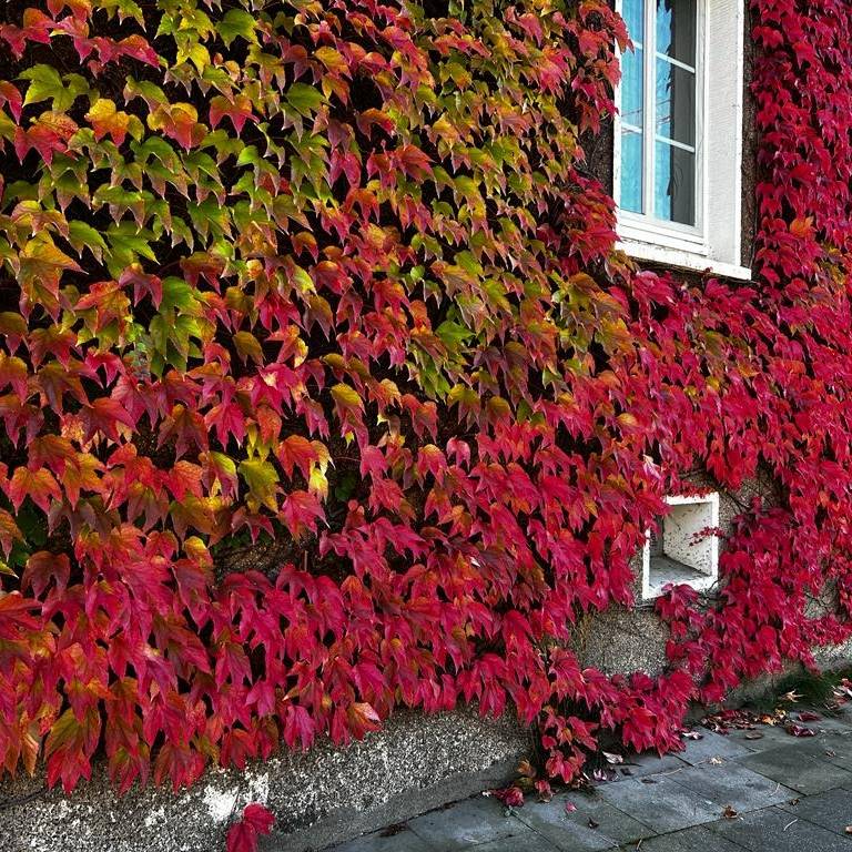 radio-essen-2-margarethenhoehe