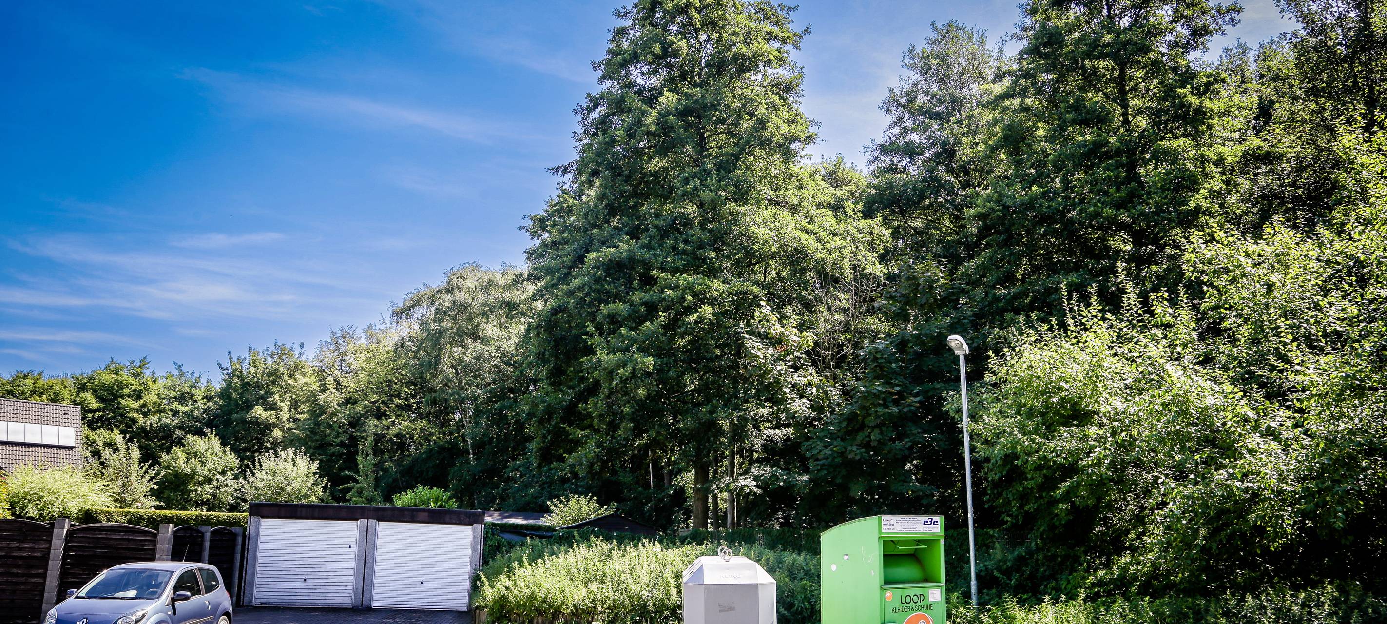 Kita statt Wald in Essen: Grüne rufen zum Protest auf