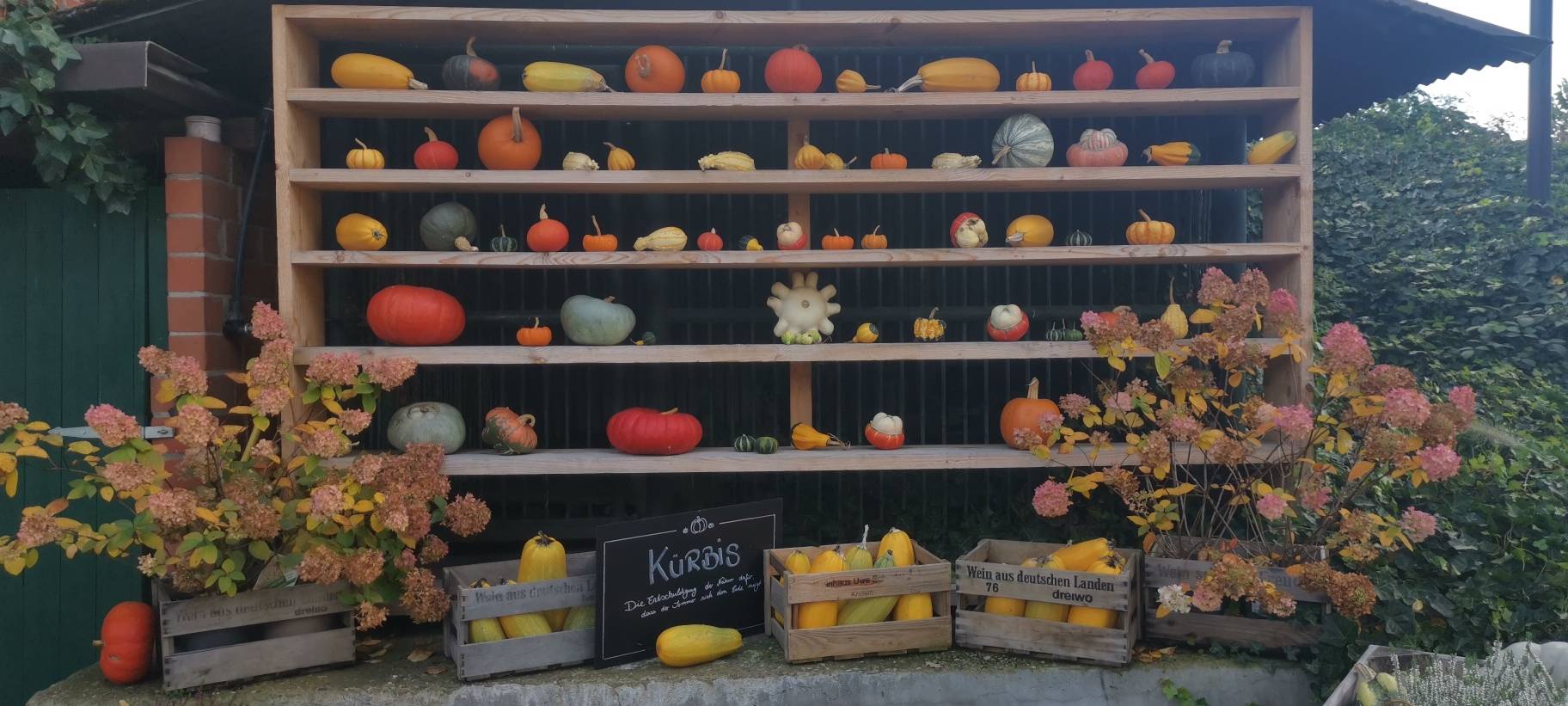 Essen: So zeigt sich der Goldene Herbst