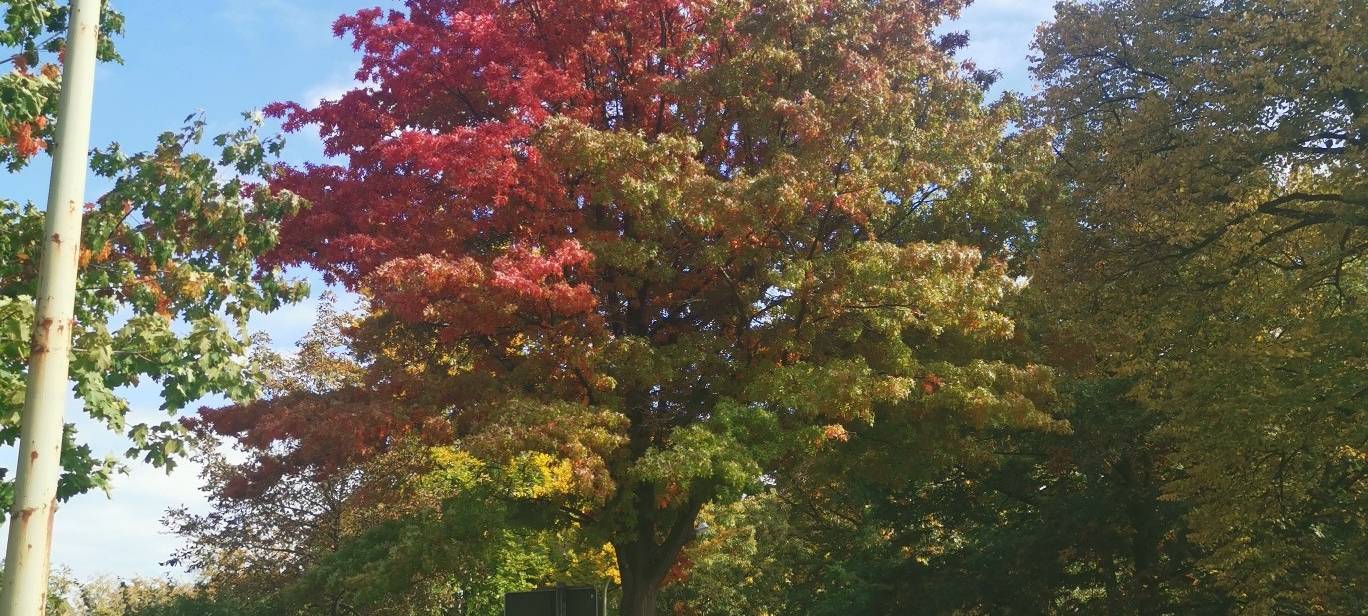 radio-essen-margarethenhoehe