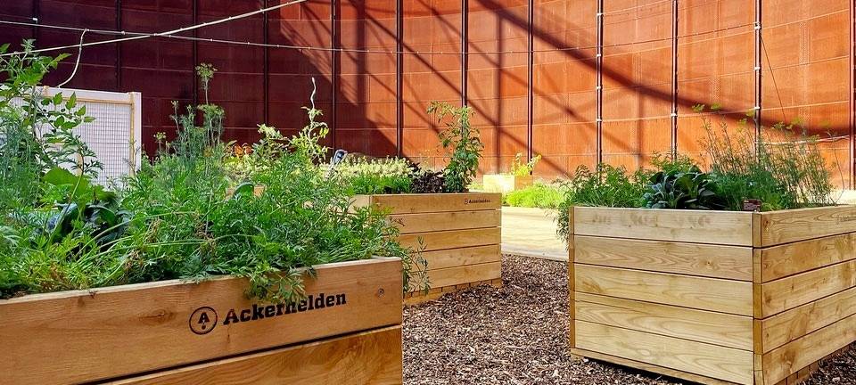 Ackerhelden aus Essen bauen Umwelt-Projekt aus