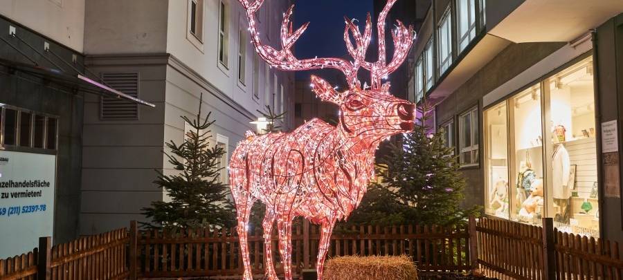 Leuchtender Elch bei den Lichtwochen in Essen