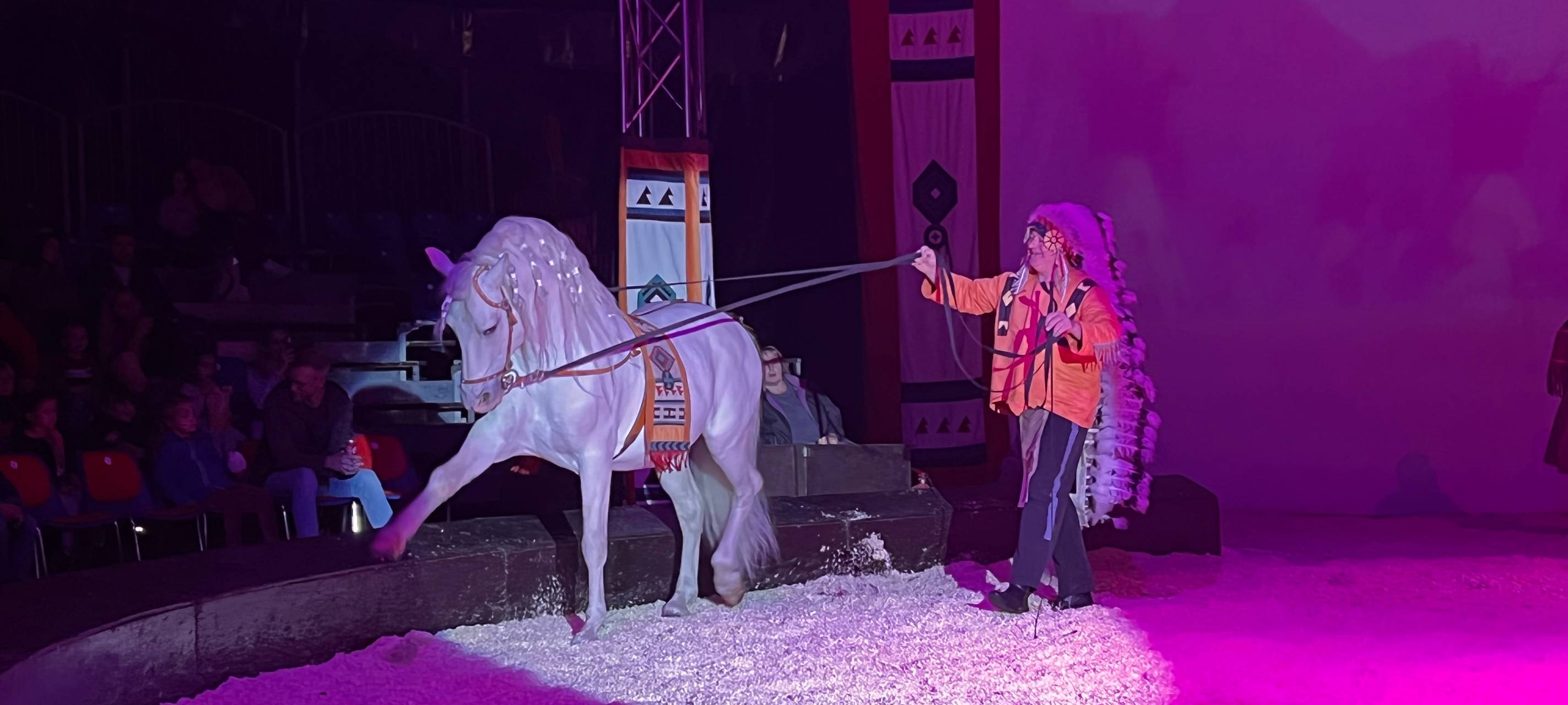 Essen: Große Pferdeshow auf Frintroper Festplatz