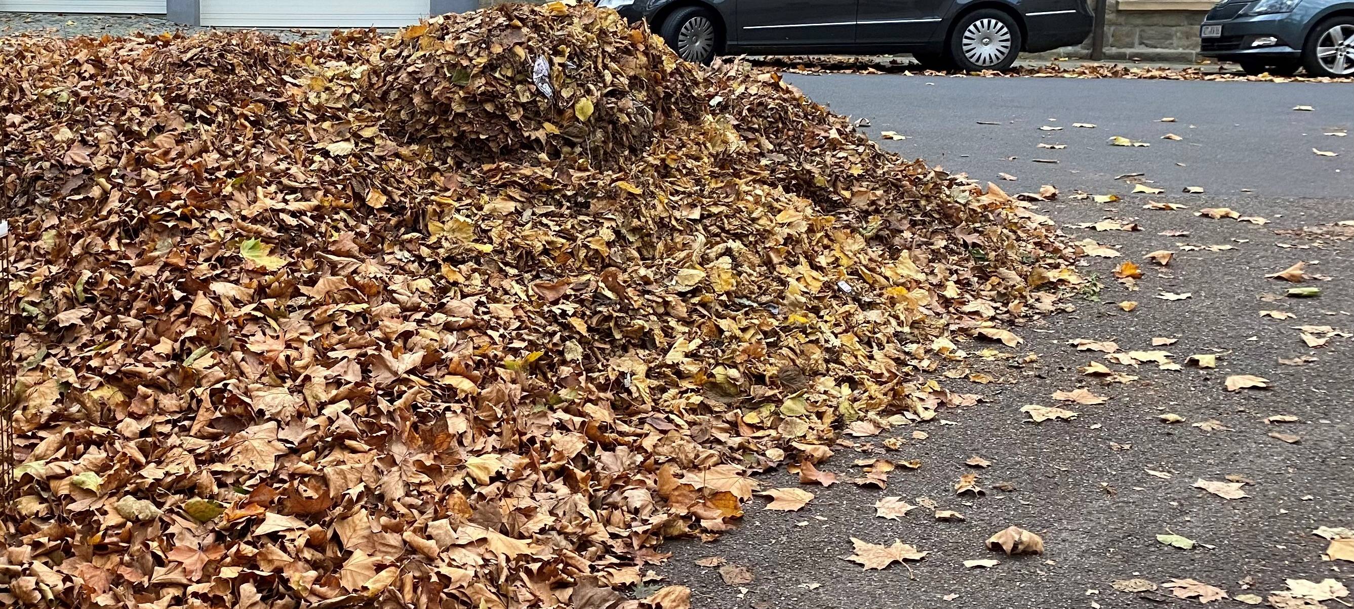 Essen: 5000 Tonnen Laub werden weggesaugt