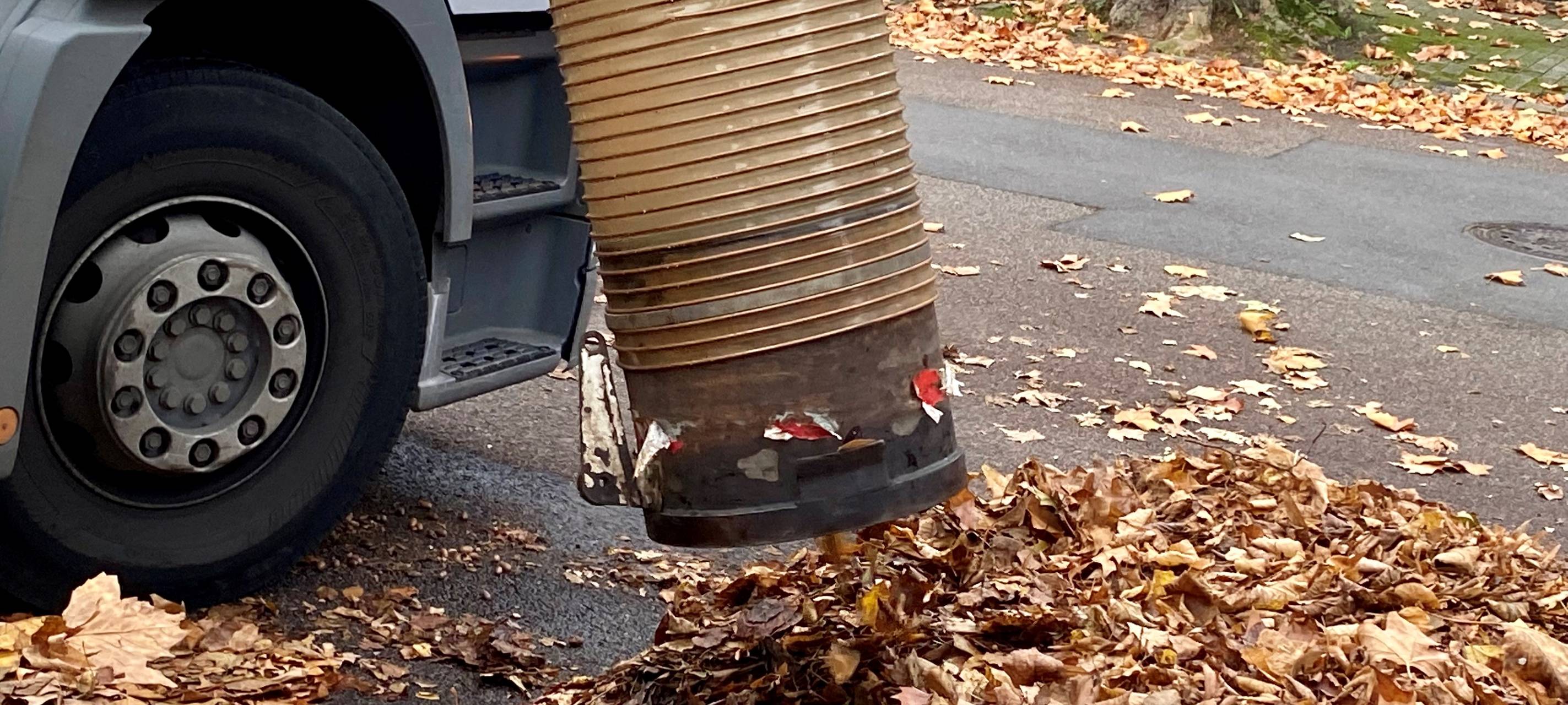 Essen: 5000 Tonnen Laub werden weggesaugt