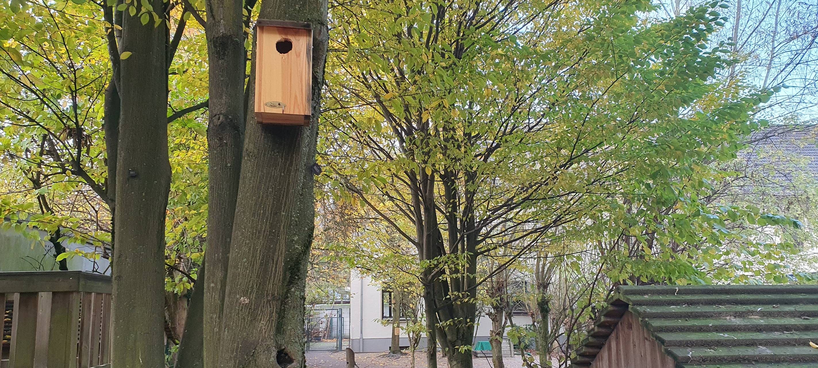 Stadt Essen verleiht Umweltpreis - Das sind die Gewinner