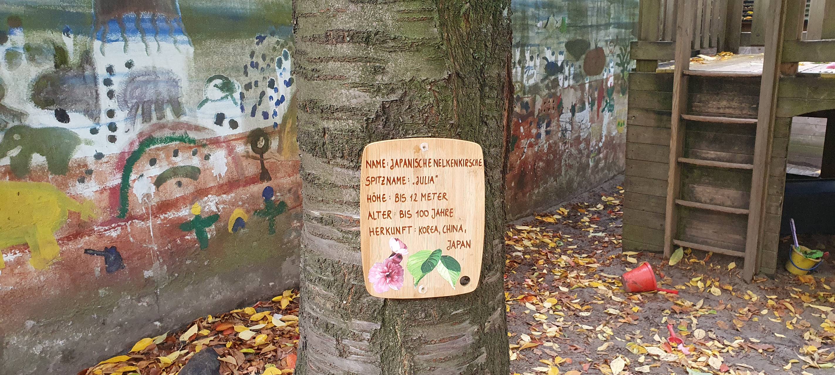 Stadt Essen verleiht Umweltpreis - Das sind die Gewinner