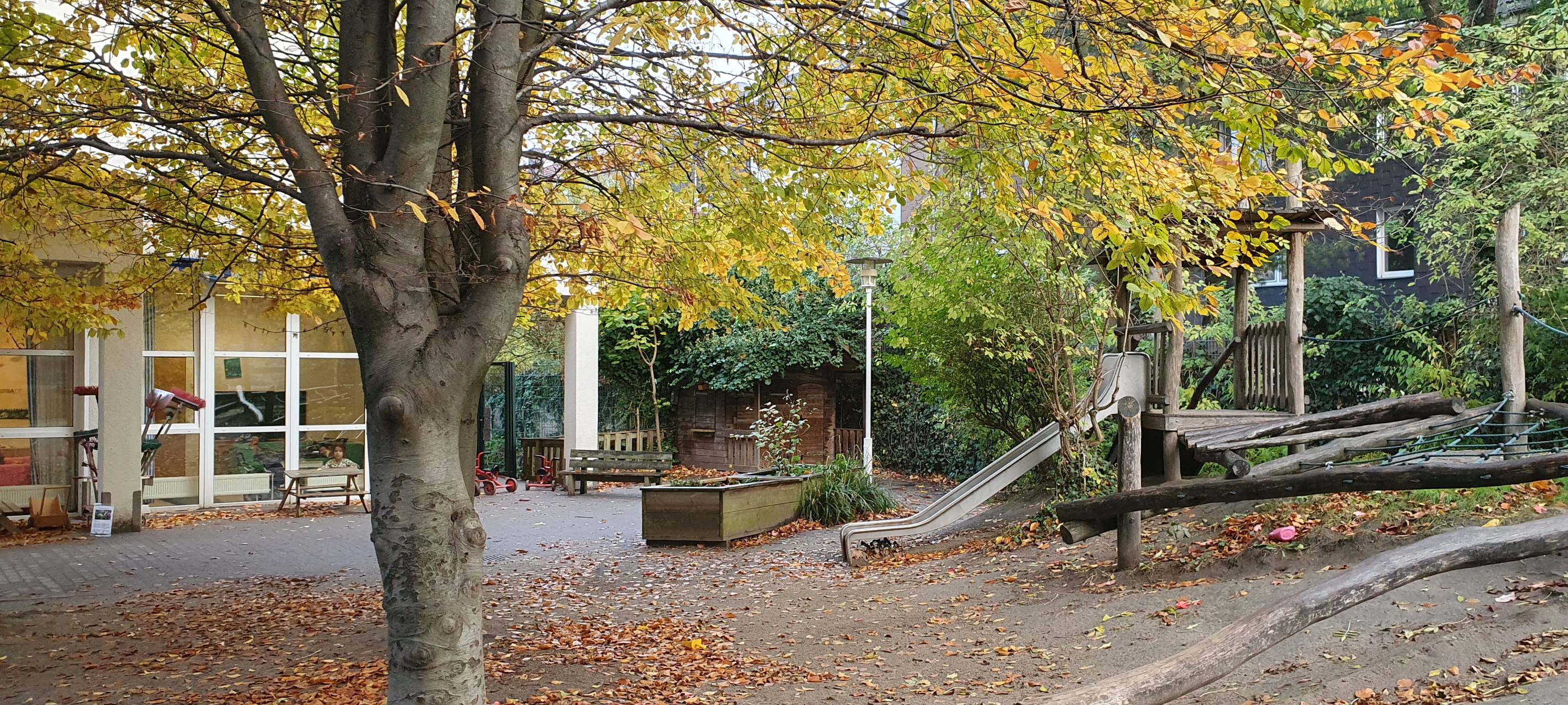 Stadt Essen verleiht Umweltpreis - Das sind die Gewinner