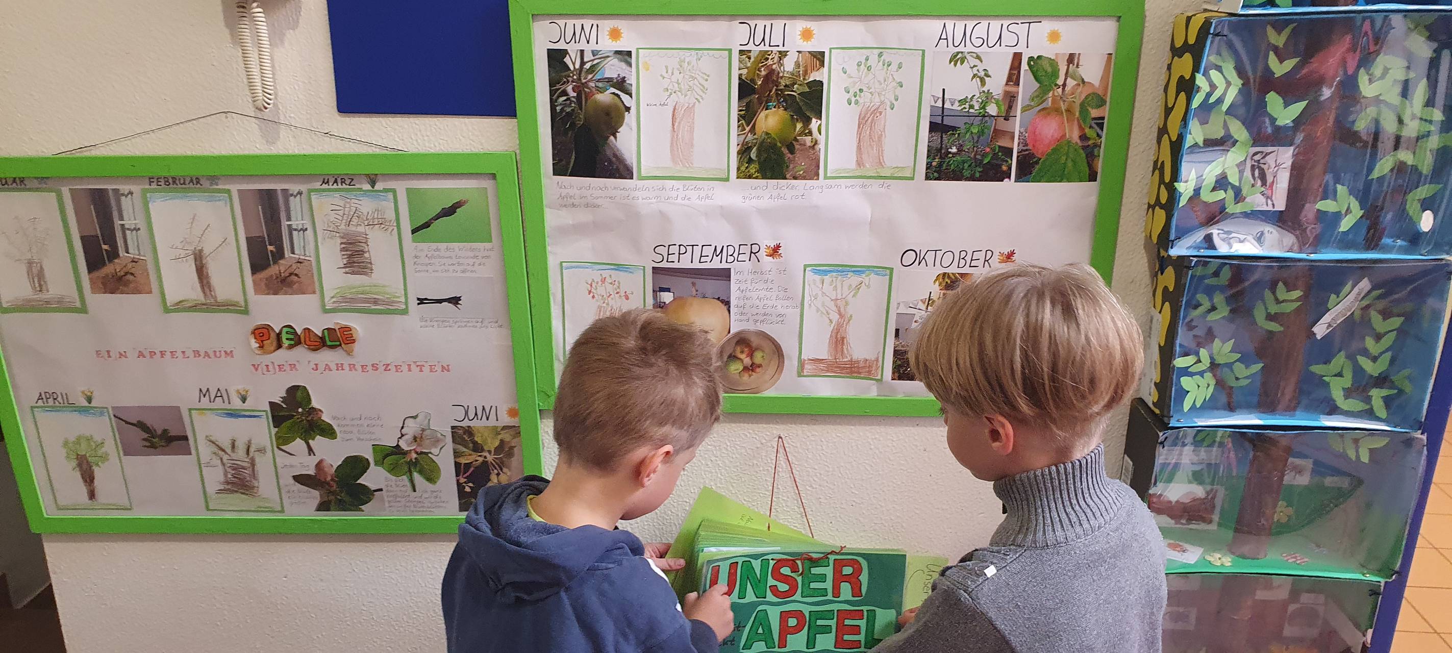 Stadt Essen verleiht Umweltpreis - Das sind die Gewinner