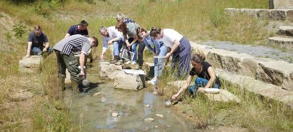 Stadtteilentwicklungen in Essen: Das hat sich 2022 getan