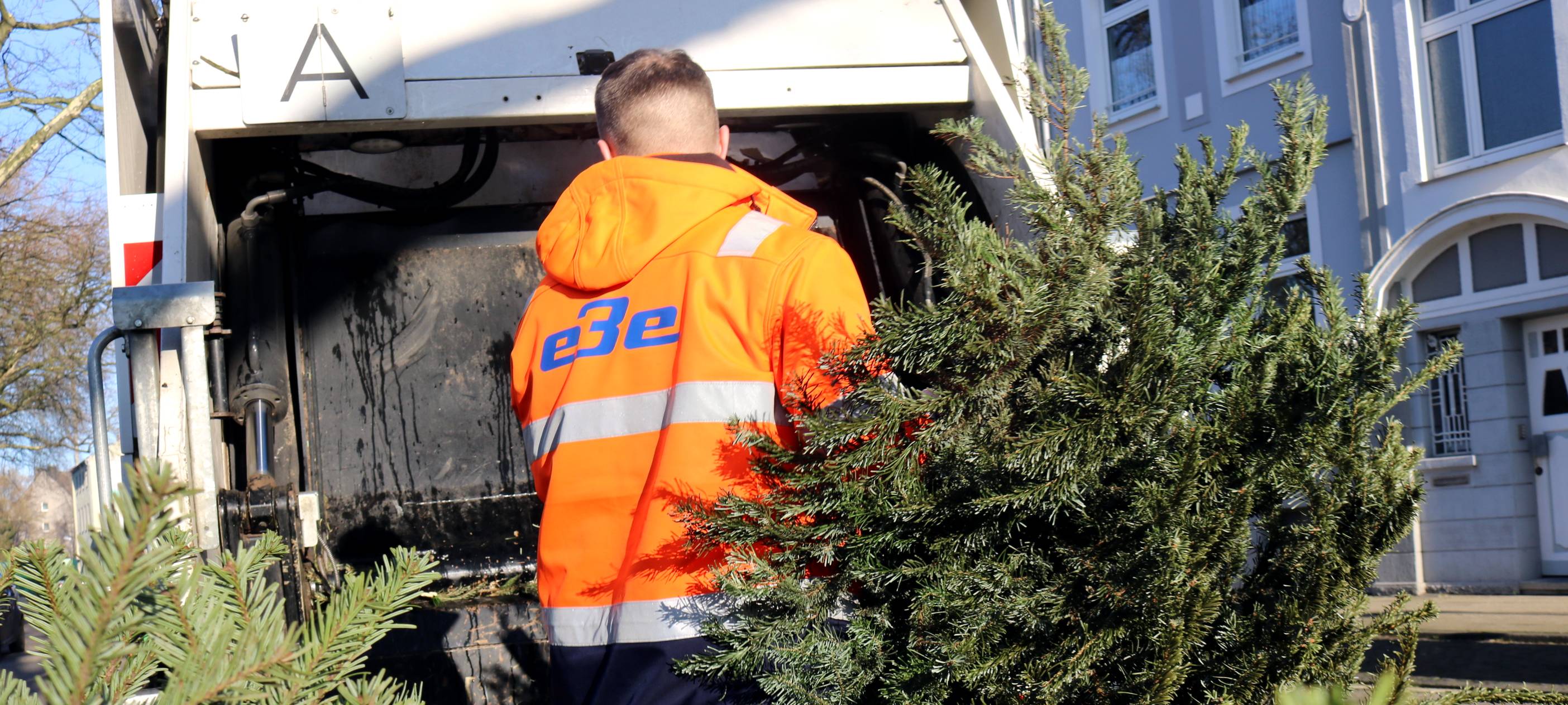 Essen: Weihnachtsbaum-Abholung 2023 - so funktionierts