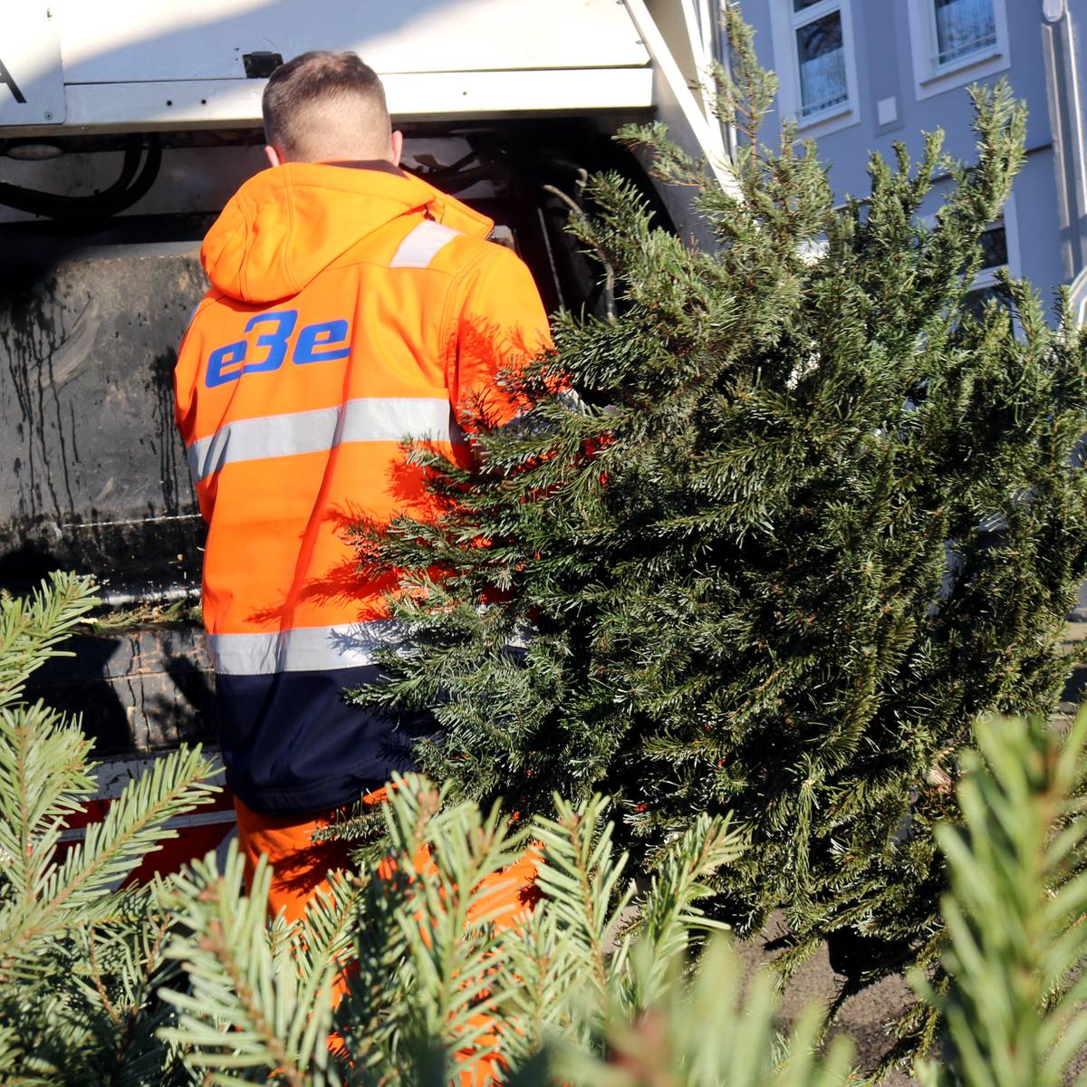 Essen Weihnachtsbaum Abholung 2023 Nach Stadtteilen Radio Essen essen-weihnachtsbaum-abholung-2023-nach-stadtteilen-radio-essen