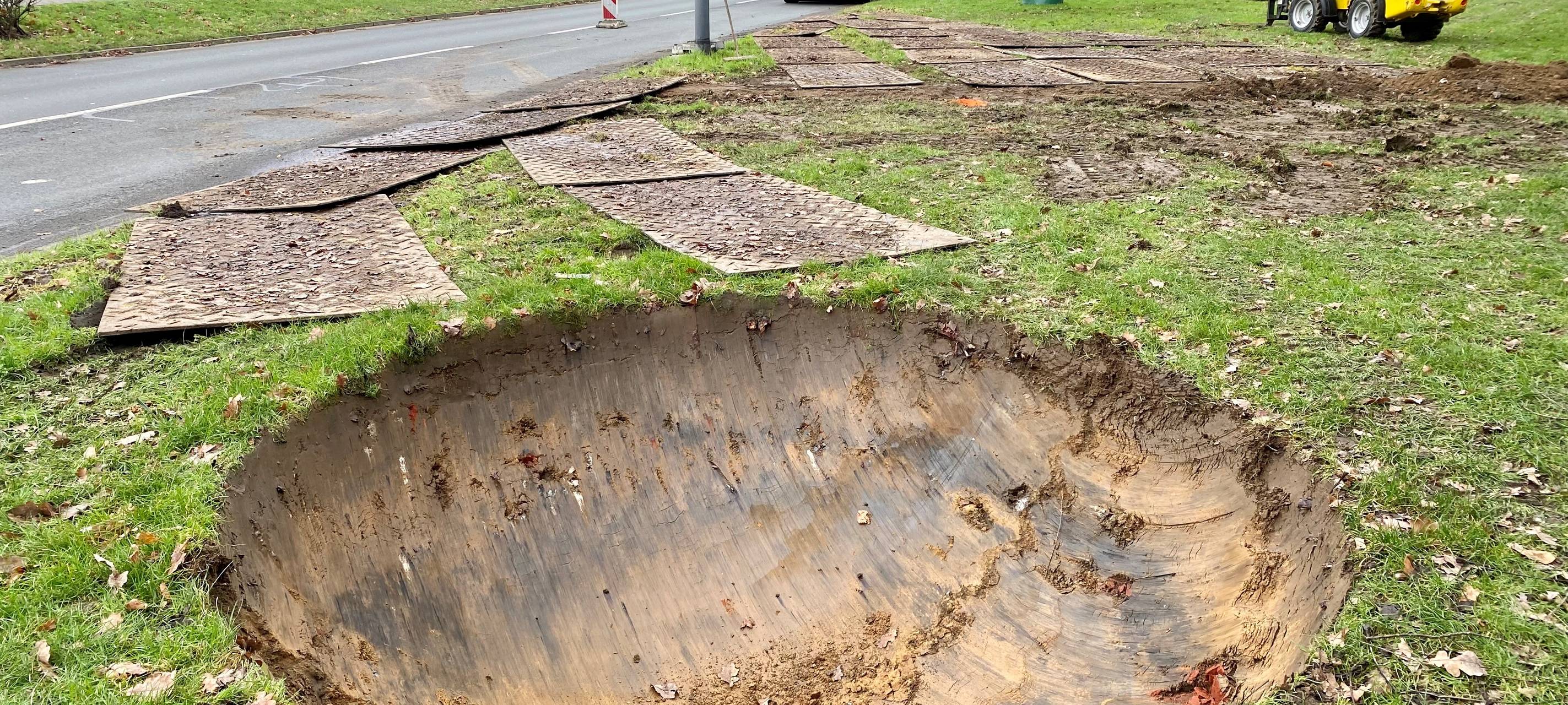 Das Loch für den Baum.