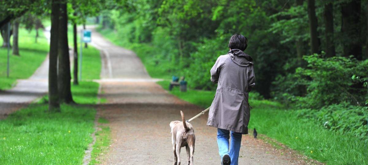Wege-Tausch in Essen: Sanierung im Hallopark geplant